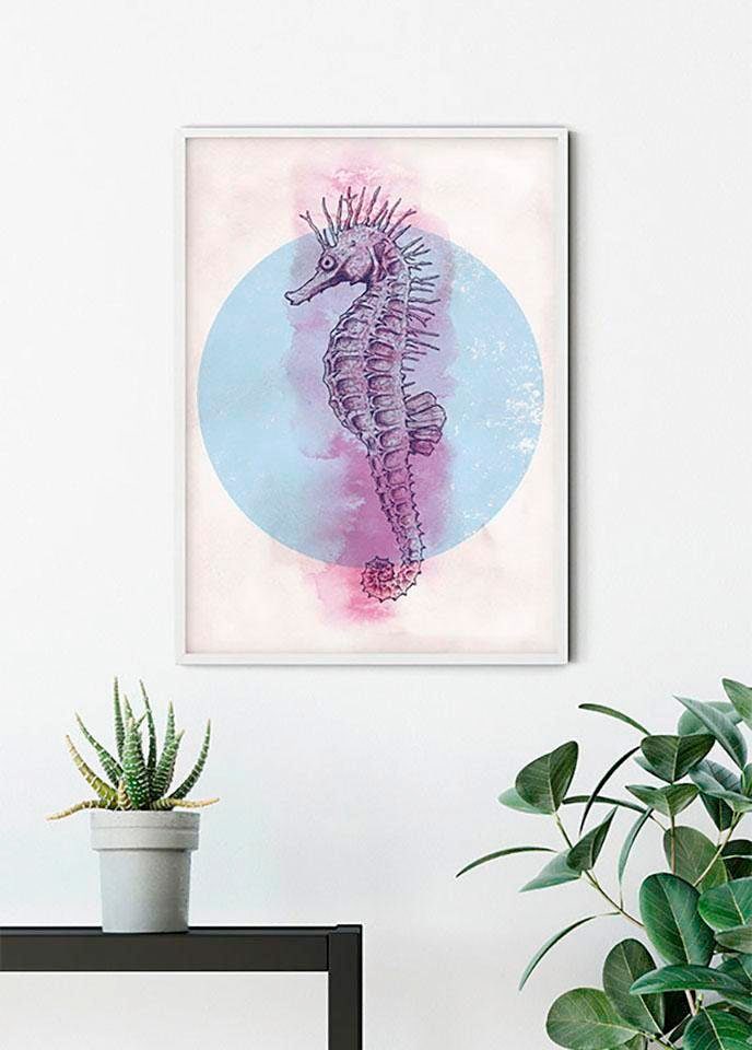 Image of Komar Bild "Sea Horse Circle" Tiere 1 Stk. tlg. Wandbild zur Dekoration - ohne Rahmen
