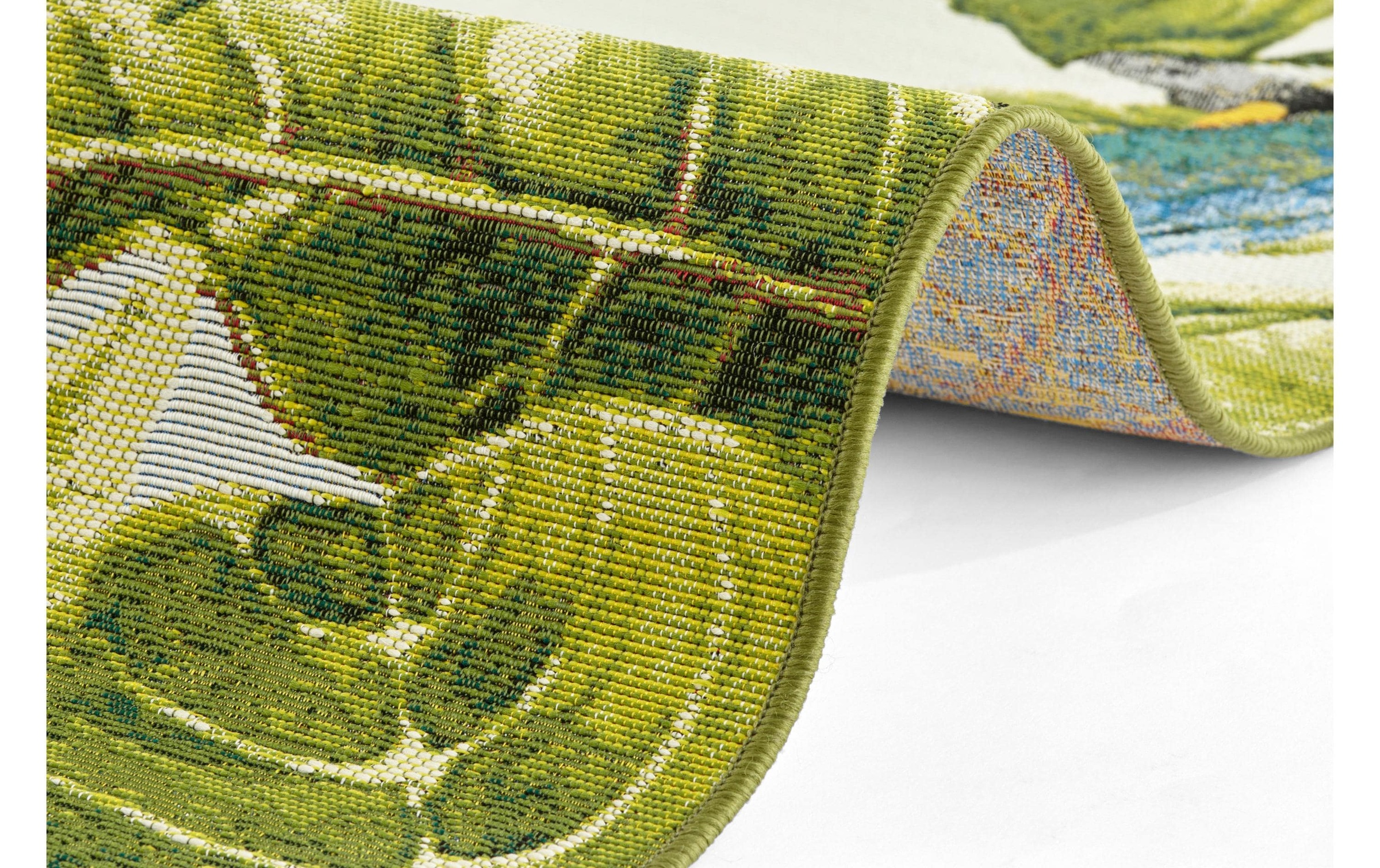 HANSE Home Teppich »Tropical Birds«