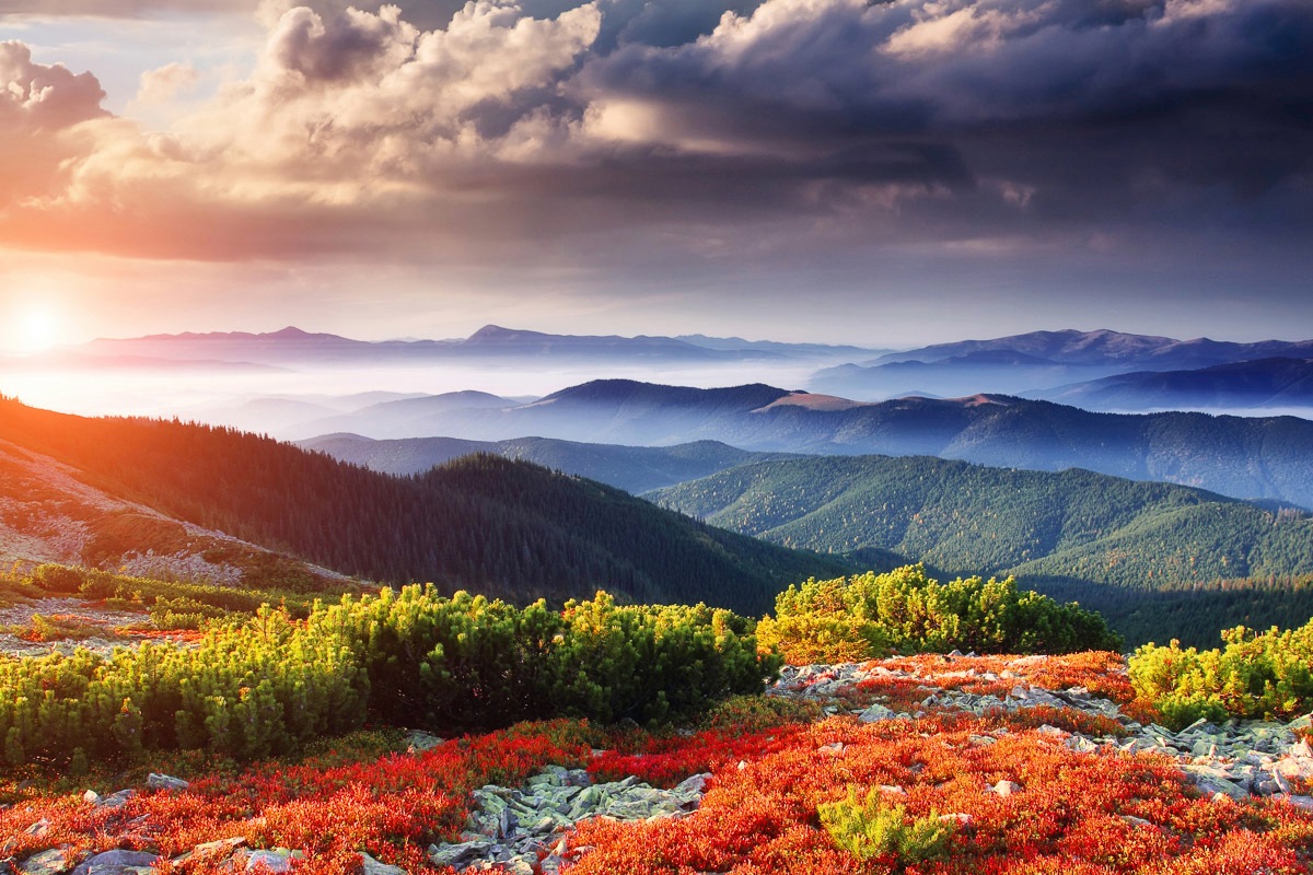 Image of Papermoon Fototapete »Hügellandschaft«, Vliestapete, hochwertiger Digitaldruck, inklusive Kleister bei Ackermann Versand Schweiz