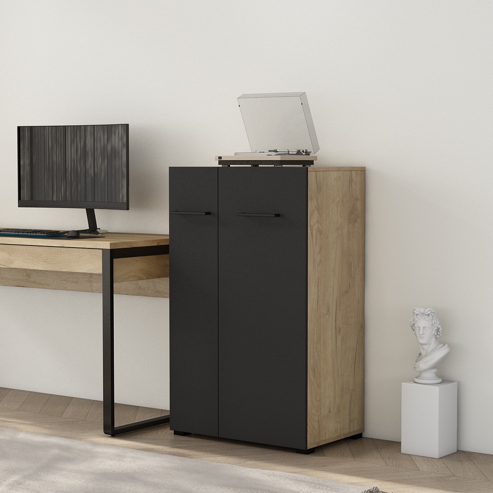PLACES OF STYLE Aktenschrank »Moid; Mehrzweckschrank,« moderne Kommode mit viel Stauraum, Masse 64,5 x 41,5 x 106 cm