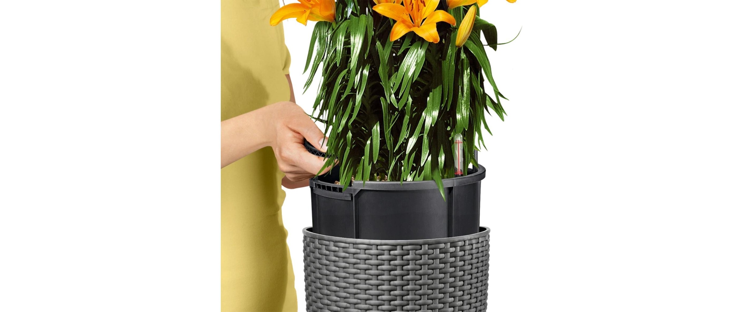   Pflanzkübel »Lechuza CILINDRO Cottage 23«