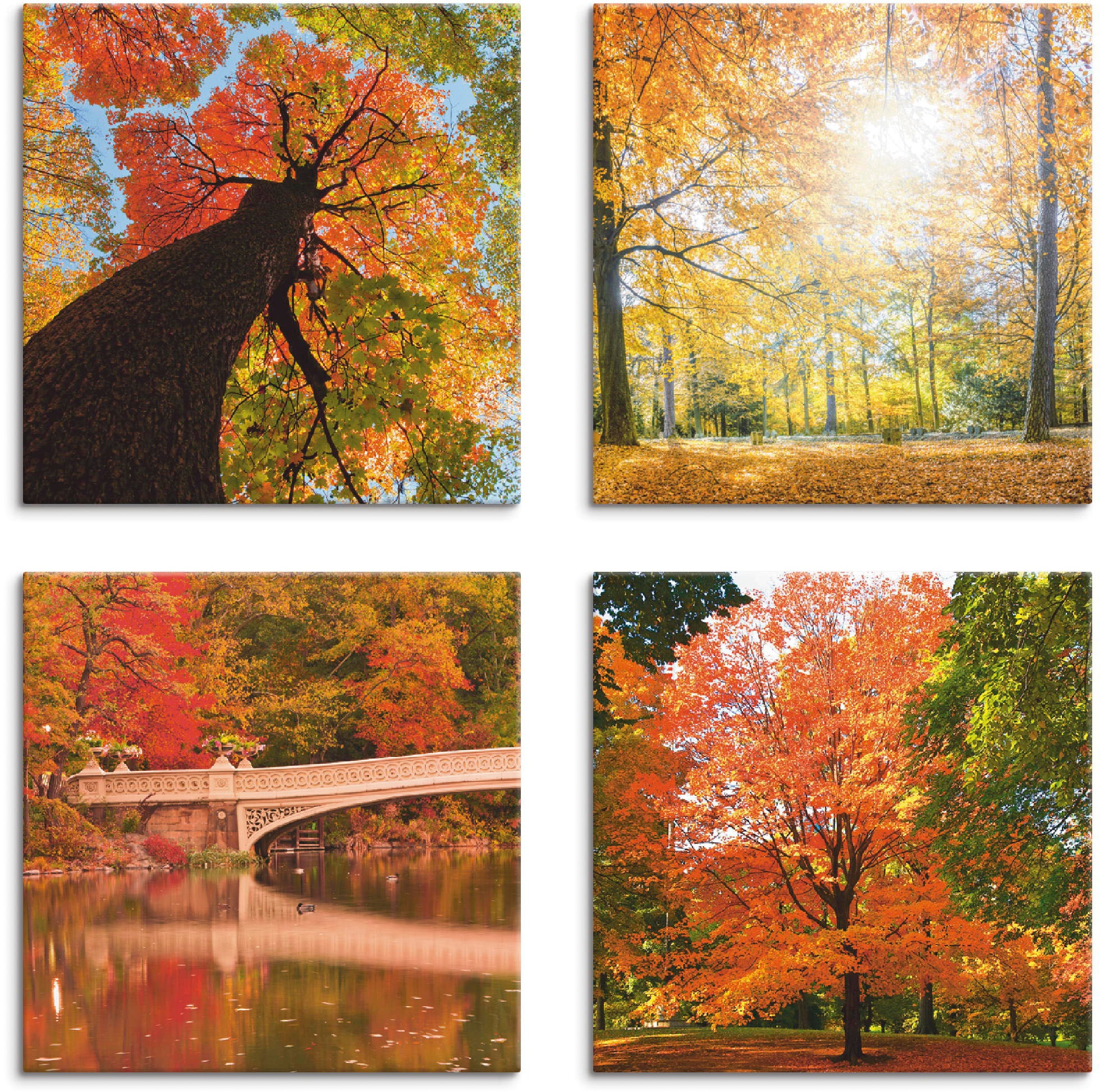 Image of Artland Leinwandbild "Herbst Wald Panoramas" Wald 4 Stk. tlg. 4er Set, verschiedene Grössen
