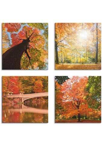 Artland Leinwandbild »Herbst Wald Panoramas«, Wald, (4 St.) kaufen