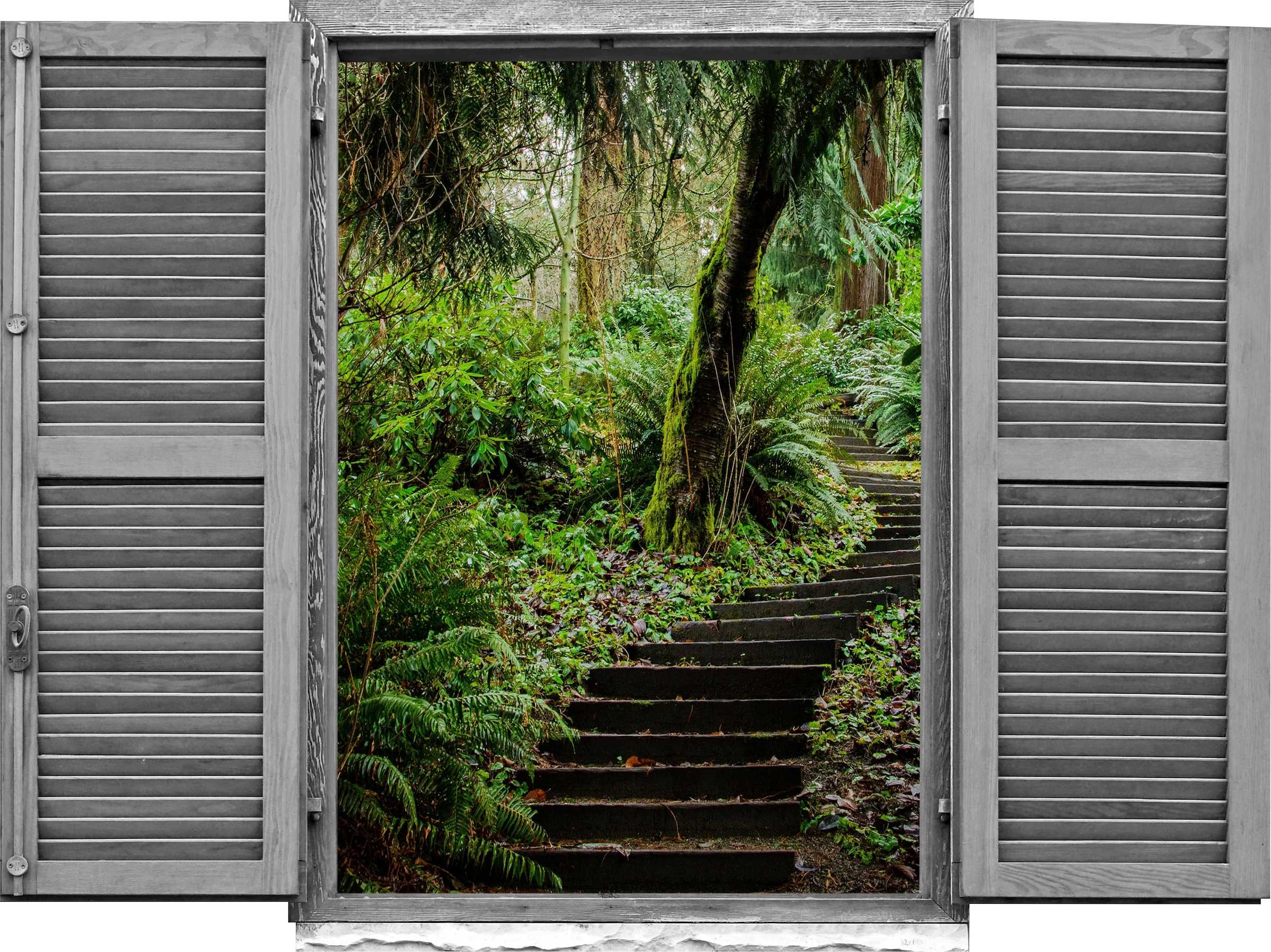 Image of queence Wandtattoo "Waldweg" Wandsticker, Wandbild, selbstklebend, 3D, Fenster