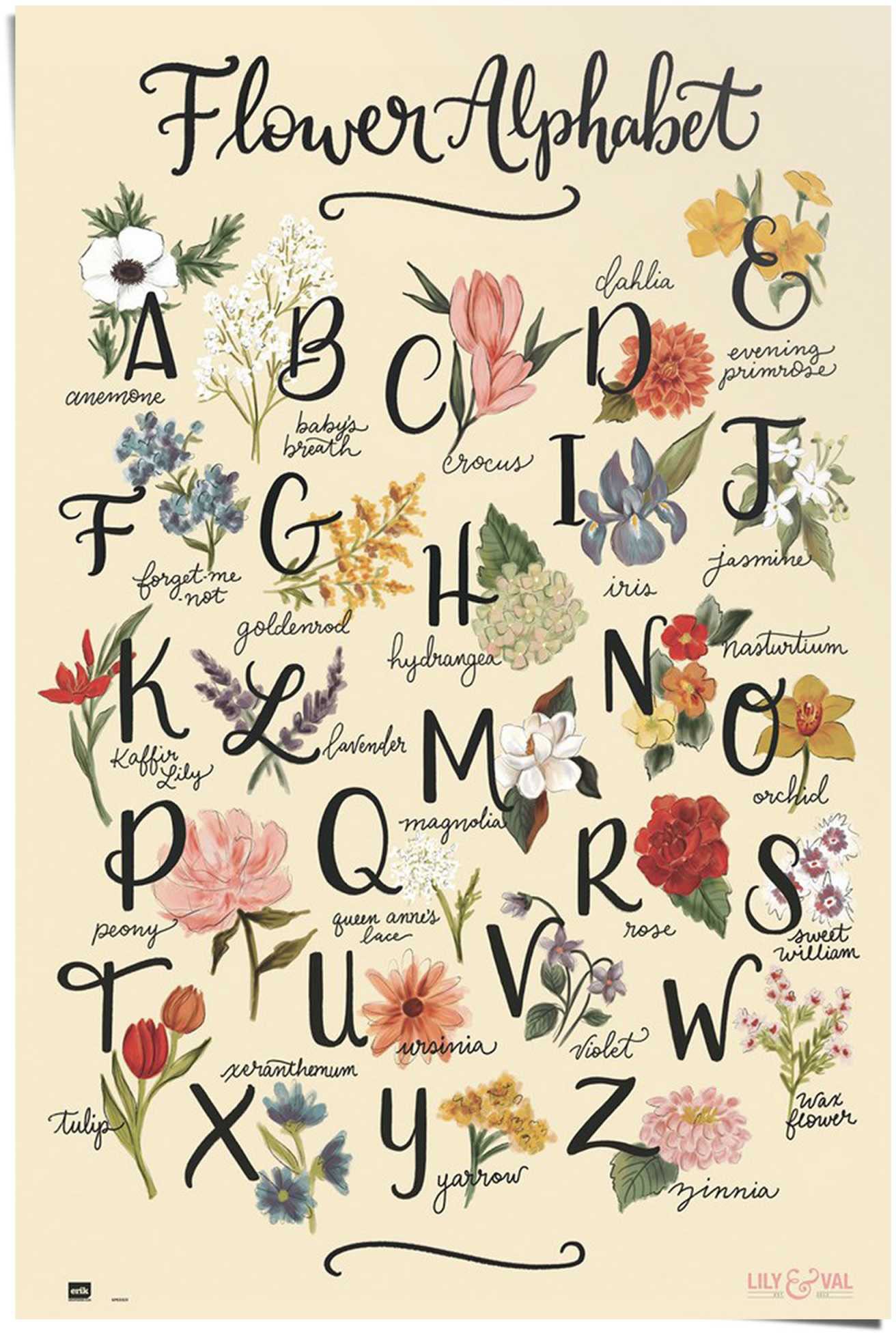 Image of Reinders! Poster »Blumenalphabet« bei Ackermann Versand Schweiz