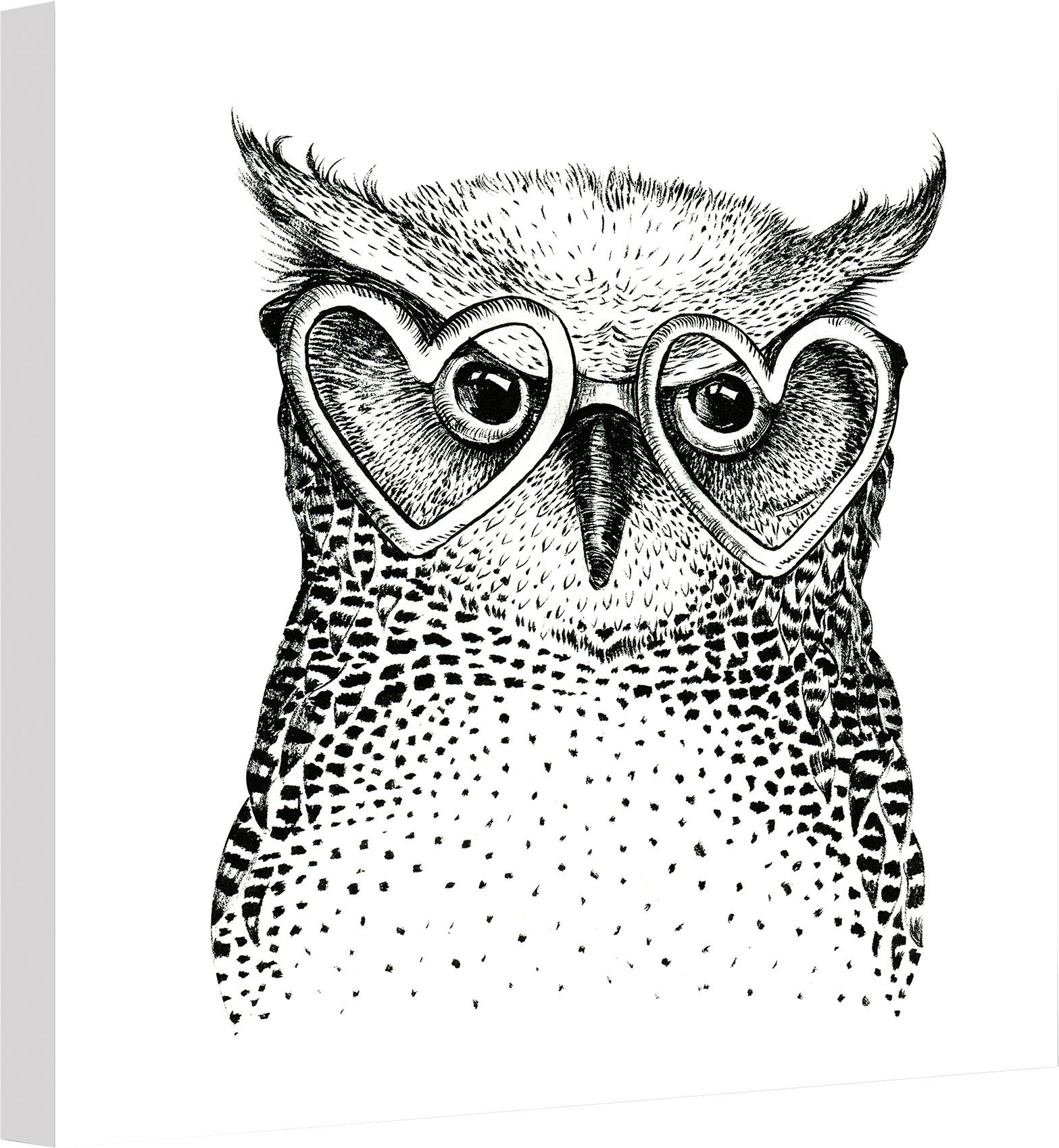 Image of Wall-Art Leinwandbild »Kvilis - Die kleine Streber-Eule« bei Ackermann Versand Schweiz