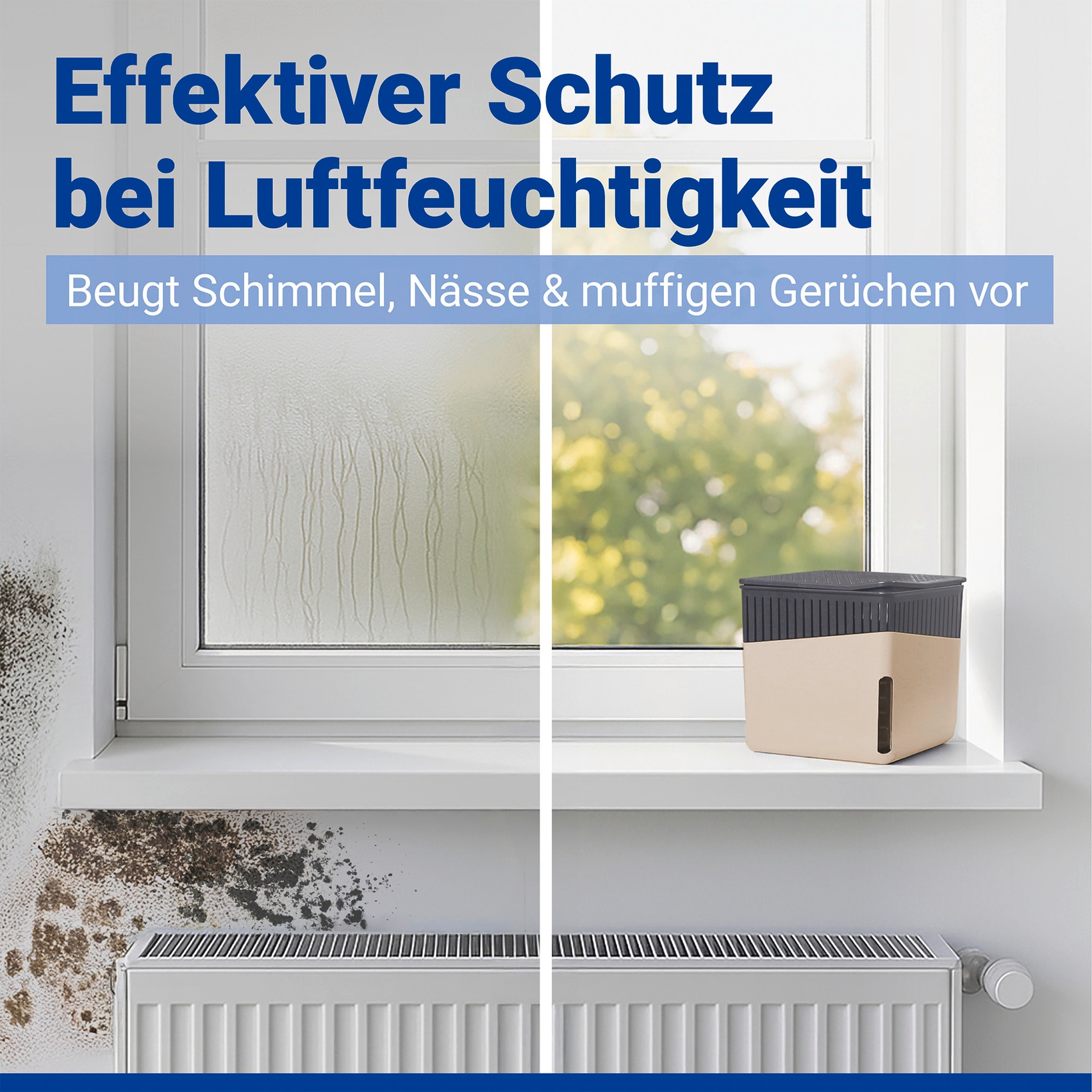 WENKO Déshumidificateur d'air »Cube« für 80 m³ Räume 1000 g