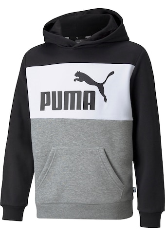 PUMA Kapuzensweatshirt »ESS+ Colorblock Hoodie Fleece« kaufen