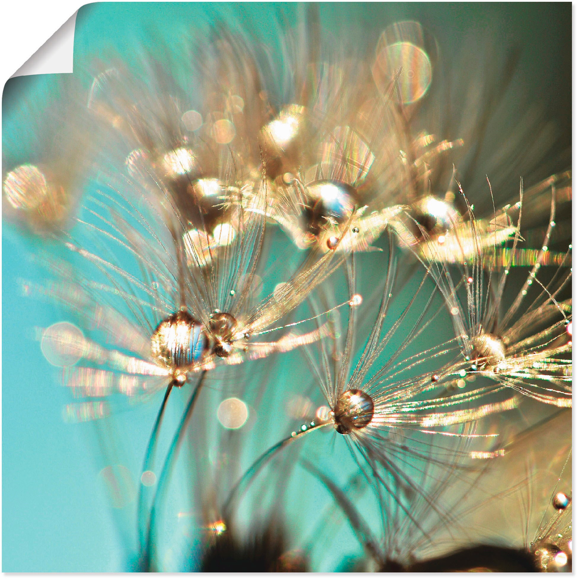Image of Artland Poster "Pusteblume glänzendes Gold" Blumen 1 Stk. tlg. ohne Rahmen