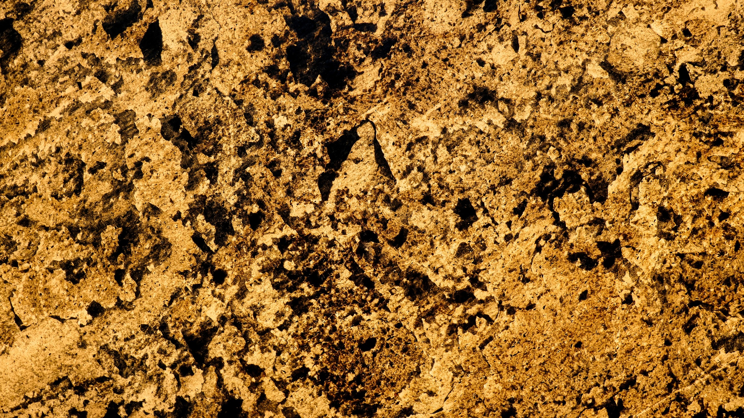 Image of Slate Lite Dekorpaneele »Translucent Verde Gris«, (1 tlg.), aus Echtstein bei Ackermann Versand Schweiz