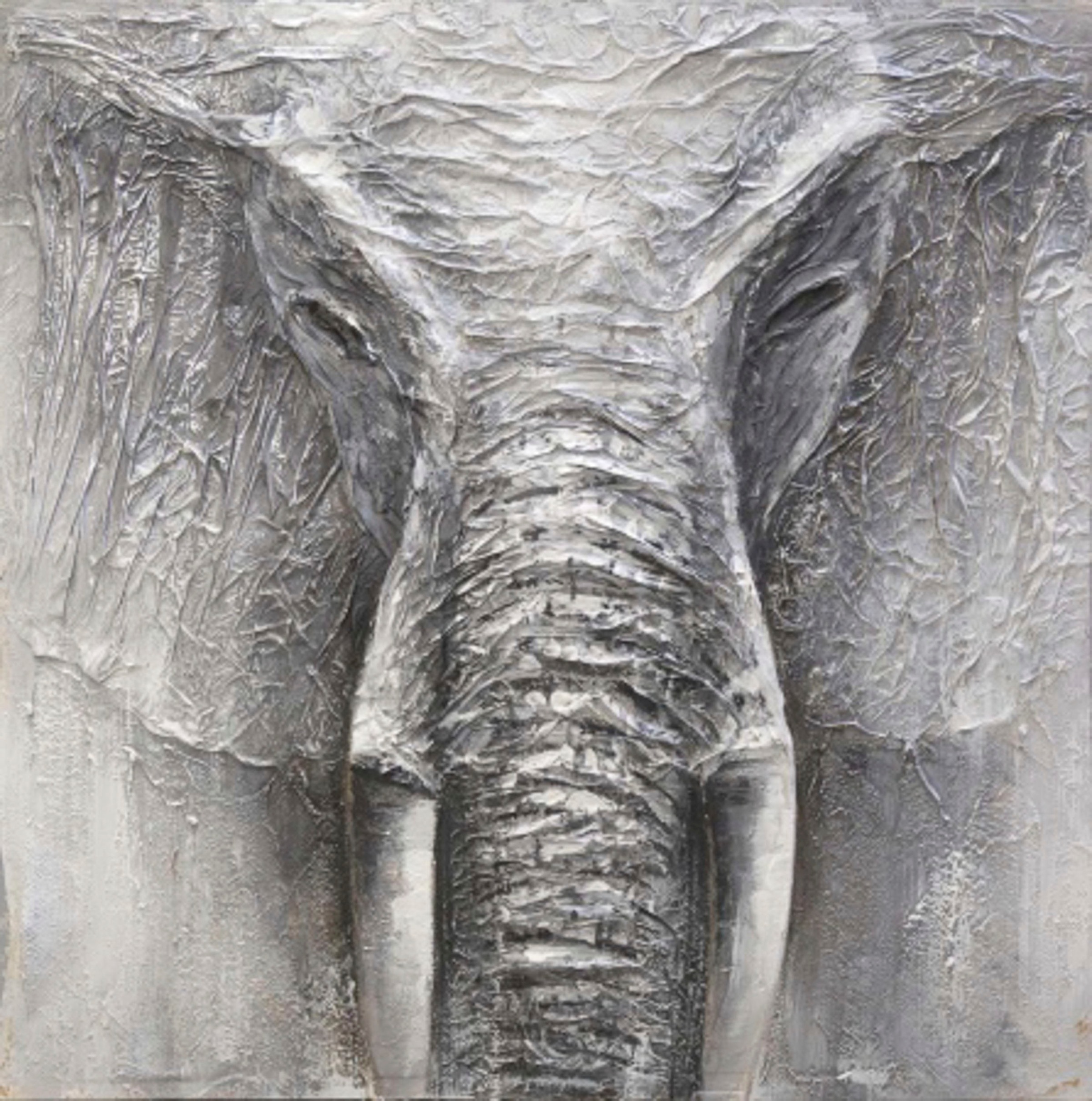 Image of Spiegelprofi GmbH Leinwandbild »RIMBO«, Elephant, (1 St.) bei Ackermann Versand Schweiz