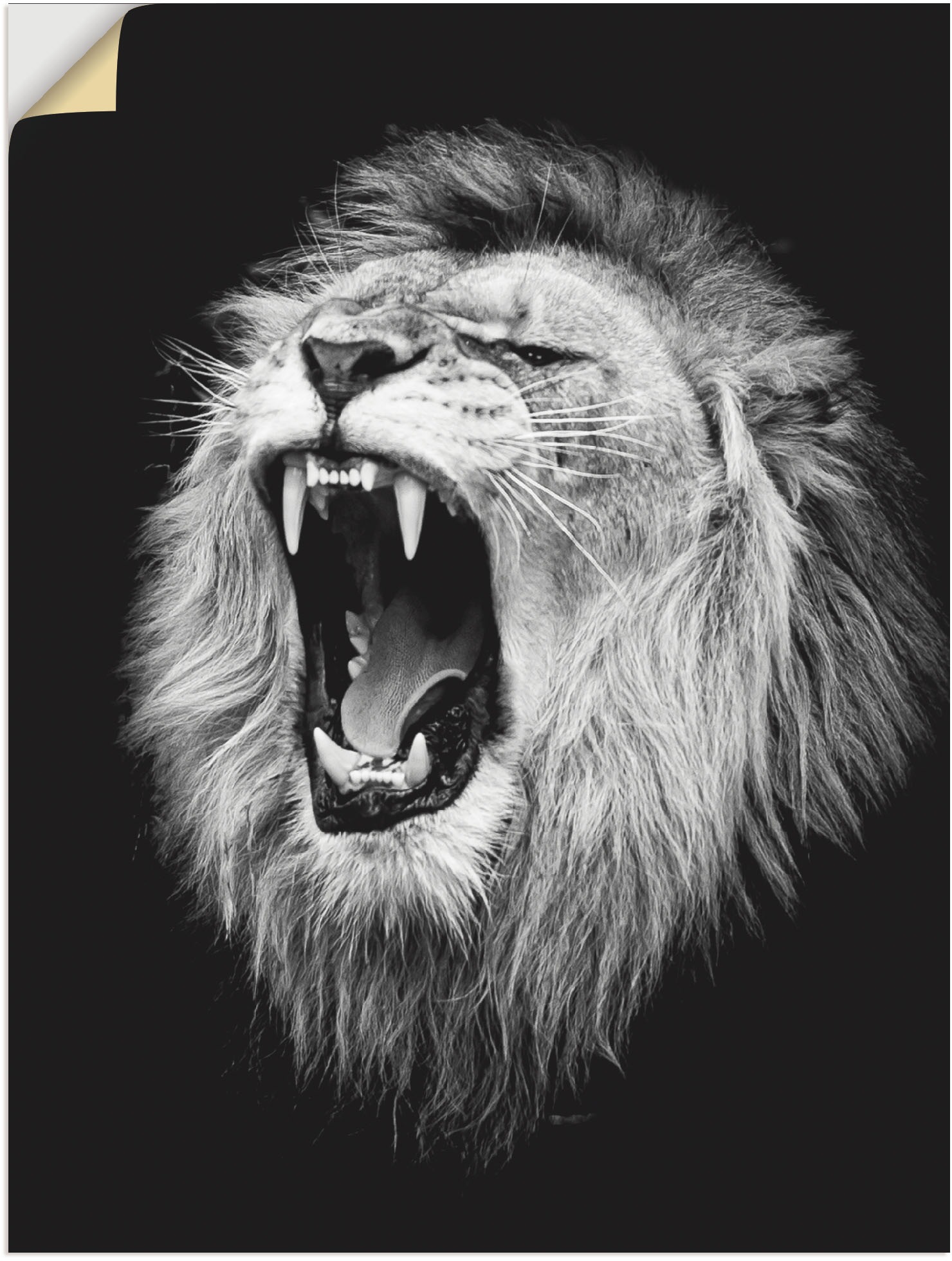 Image of Artland Wandbild »Der Löwe«, Wildtiere, (1 St.), in vielen Grössen & Produktarten - Alubild / Outdoorbild für den Aussenbereich, Leinwandbild, Poster, Wandaufkleber / Wandtattoo auch für Badezimmer geeignet bei Ackermann Versand Schweiz