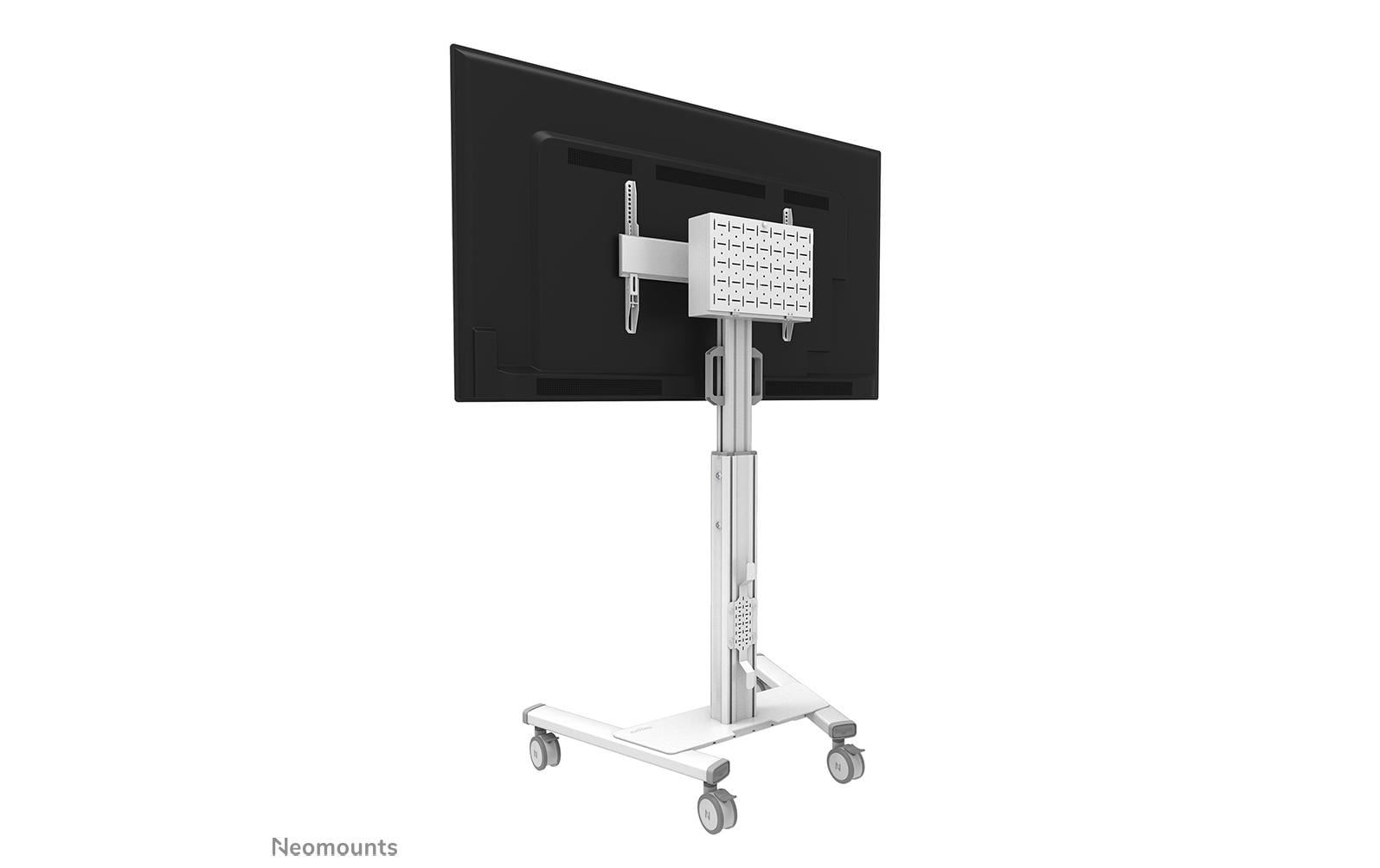 TV-Ständer »Neomounts by NewStar FL5«