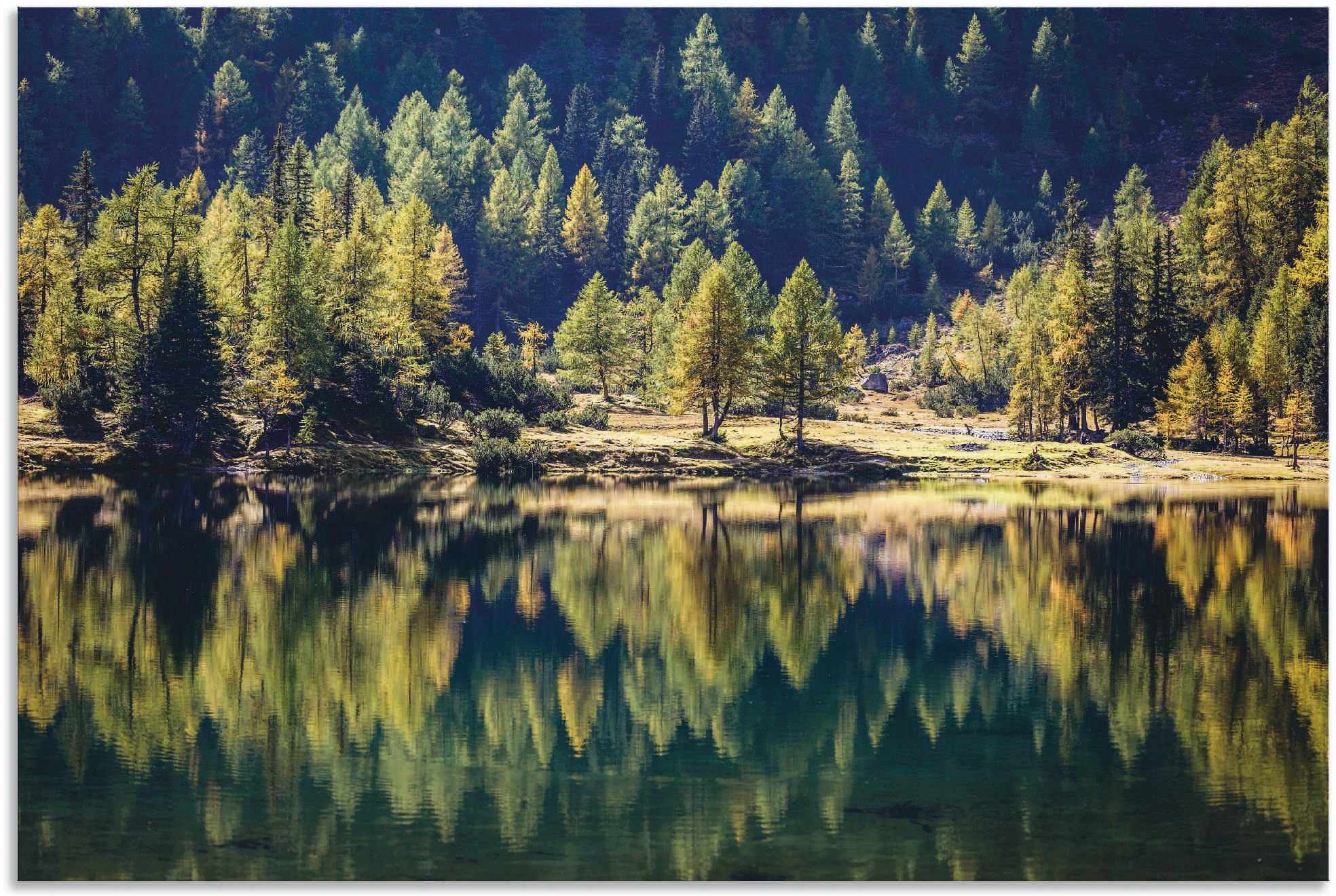 Image of Artland Wandbild »Herbstwald am Duisitzkarsee«, Waldbilder, (1 St.), in vielen Grössen & Produktarten - Alubild / Outdoorbild für den Aussenbereich, Leinwandbild, Poster, Wandaufkleber / Wandtattoo auch für Badezimmer geeignet bei Ackermann Versand Schwei