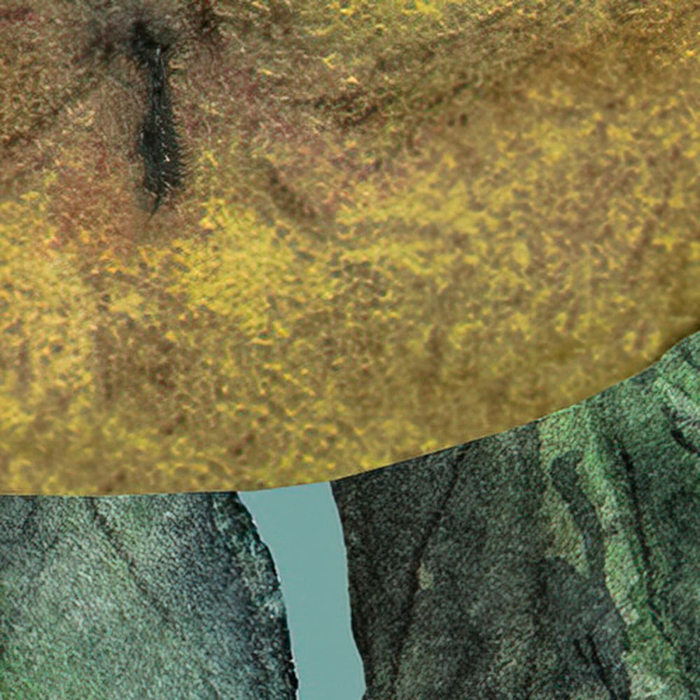 Komar Fototapete »Digitaldruck Vlies - Bellezza - Grösse 300 x 250 cm«, bedruckt, Wohnzimmer, Schlafzimmer