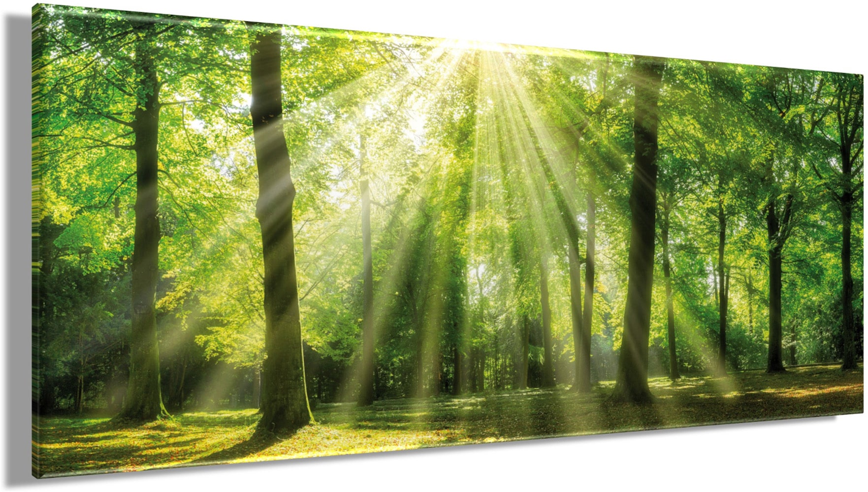 Bönninghoff Leinwandbild »Wandbild WALD  – Leinwandbild Keilrahmen« Bäume | Natur | Wald 1 Stk. tlg. auf Keilrahmen gespannt