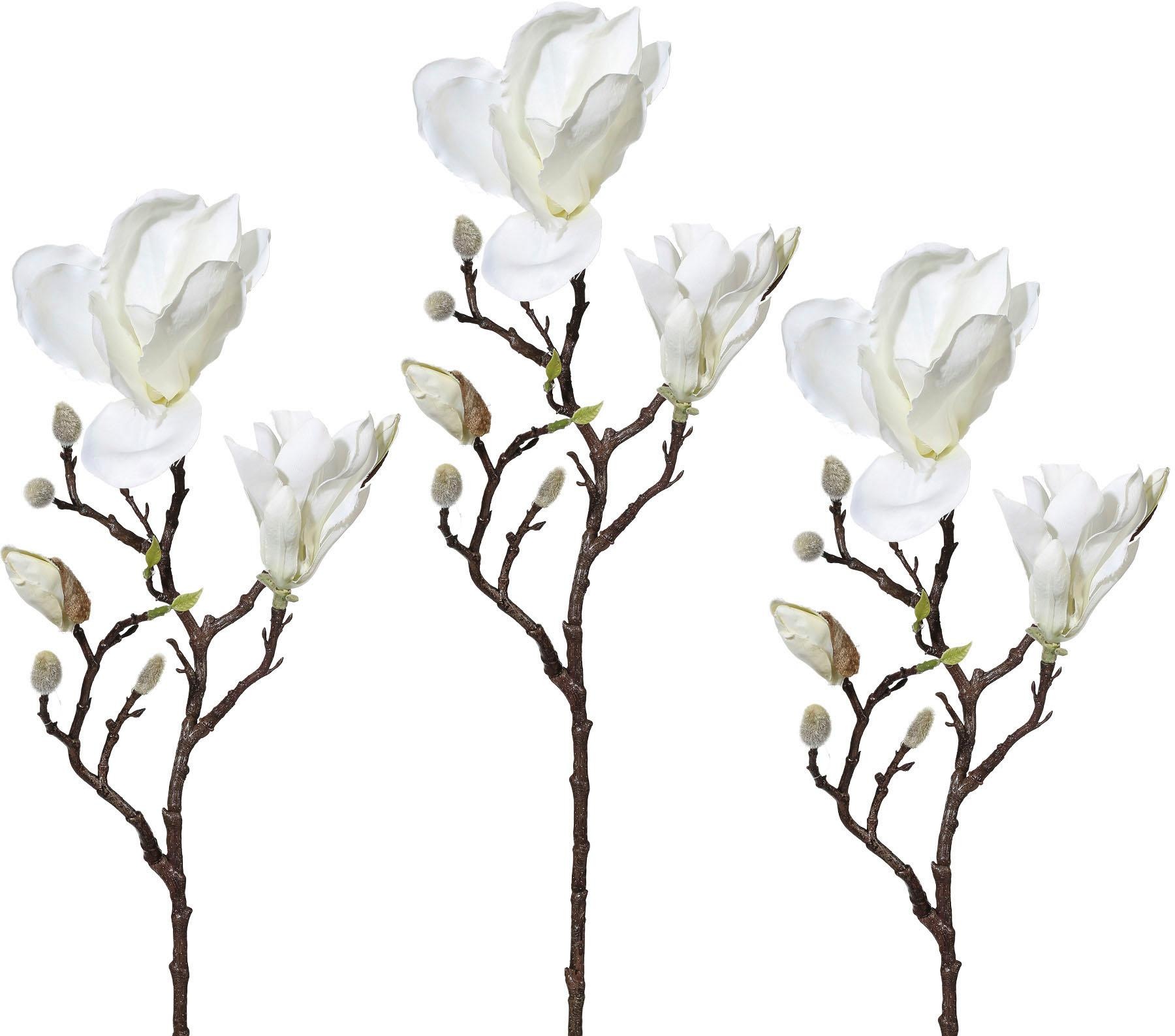 Image of Creativ green Kunstzweig »Magnolie«, (3 St.) bei Ackermann Versand Schweiz