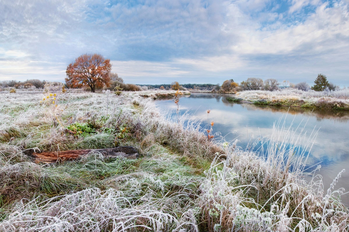 Image of Papermoon Fototapete "Fluss in Schneelandschaft"