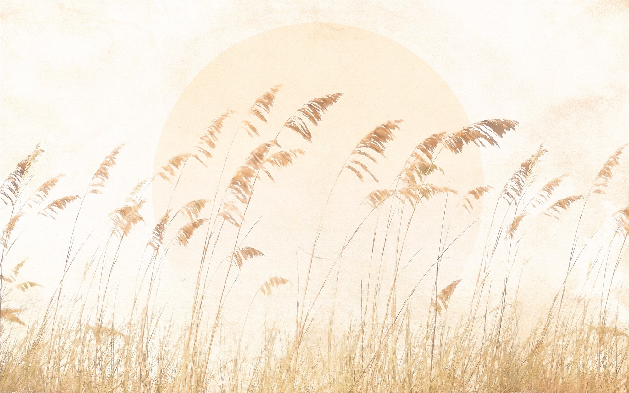 Image of Komar Vliestapete "Digitaldruck Vlies - Dune Grass - Grösse 400 x 250 cm" bedruckt glatt Wohnzimmer, Schlafzimmer