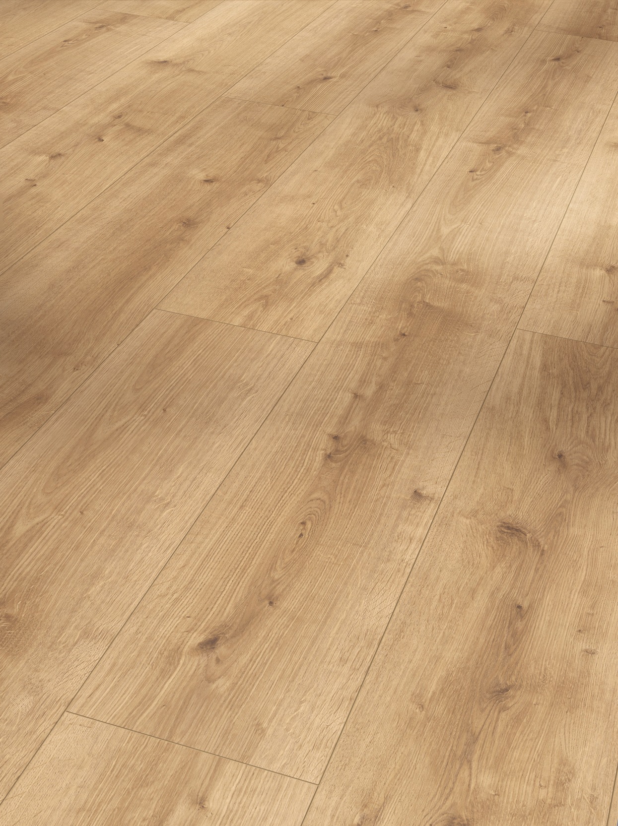 Image of PARADOR Designboden »Modular ONE«, (Packung), Eiche pure Natur, 235x2200x8 mm, 3,102 m² bei Ackermann Versand Schweiz