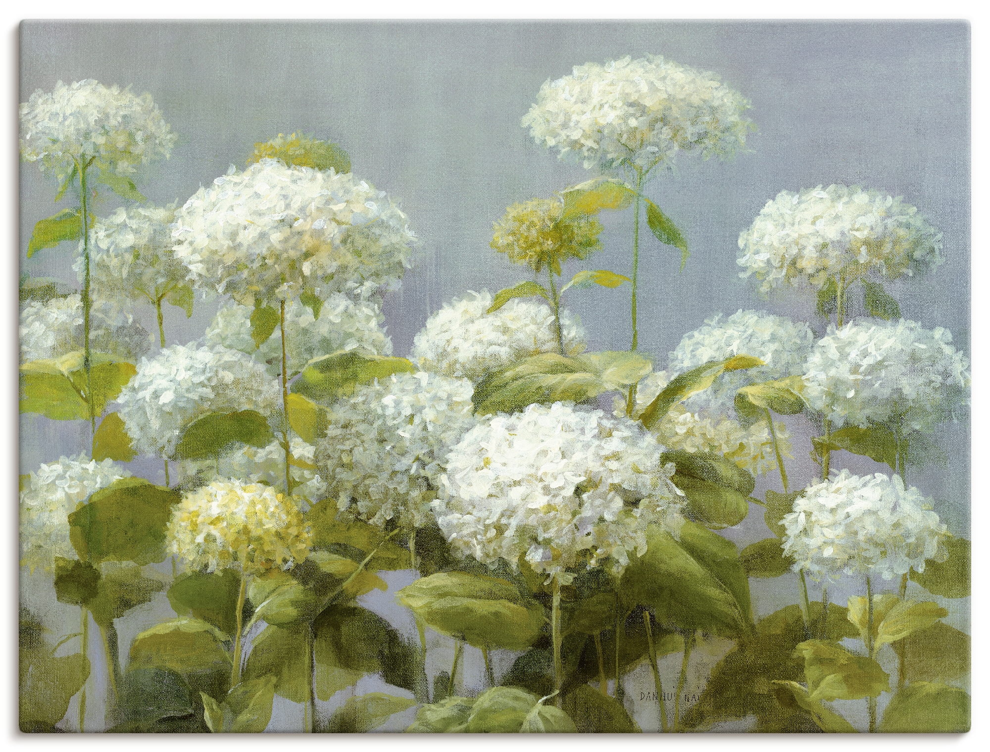 Image of Artland Wandbild "Weisser Hortensien Garten" Blumen 1 Stk. tlg. als Leinwandbild, Poster in verschied. Grössen
