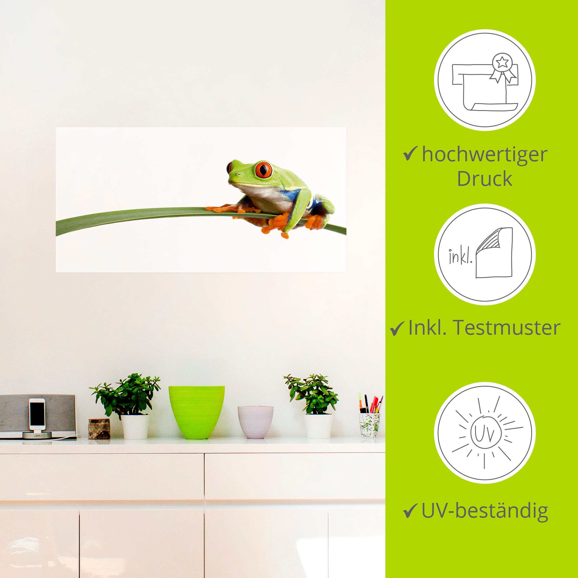 Artland Wandbild »Frosch auf einem Blatt«, Wassertiere, (1 St.), als Alubild, Outdoorbild, Leinwandbild, Poster, Wandaufkleber