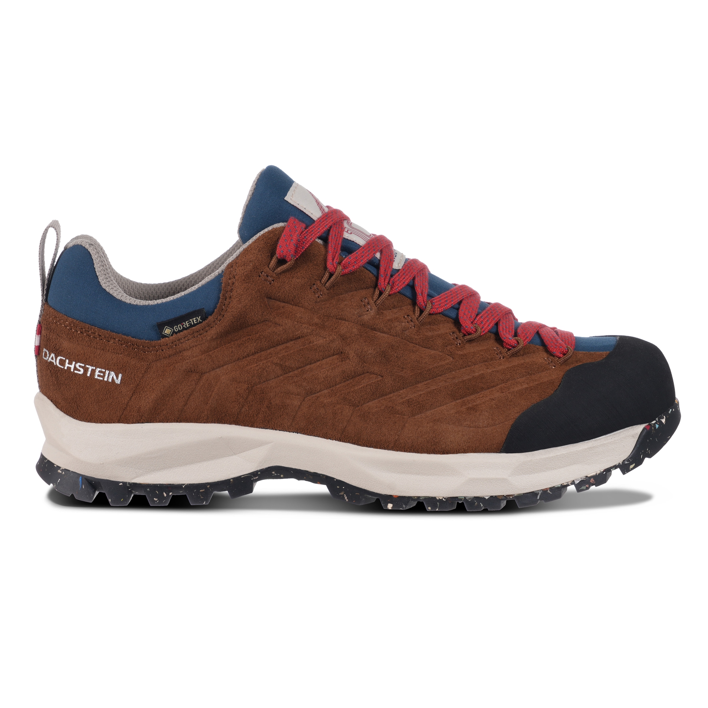 Dachstein Wanderschuh »SF-21 GTX 1925 WMN«, wasserdicht