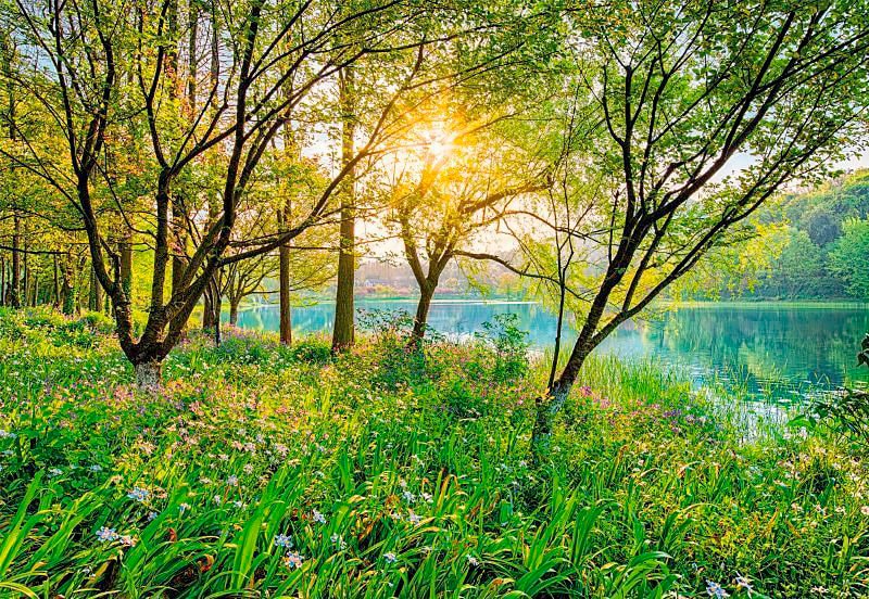 Image of Komar Fototapete "Spring Lake - Grösse 368 x 254 cm" bedruckt glatt Wohnzimmer, Schlafzimmer