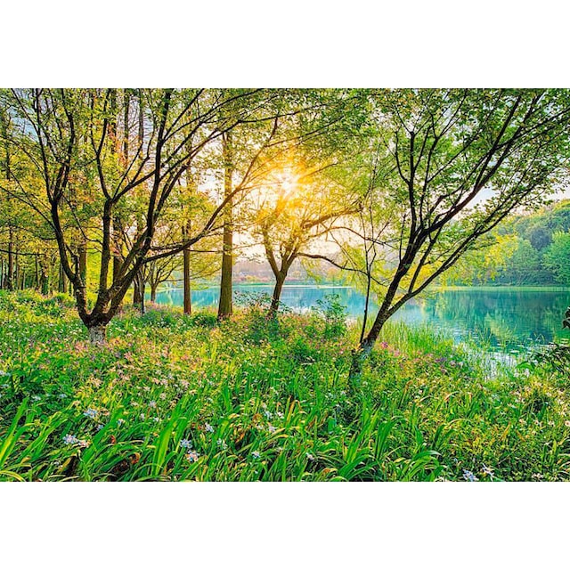 ♕ Komar Fototapete »Spring Lake«, 368x254 cm (Breite x Höhe), inklusive  Kleister versandkostenfrei auf