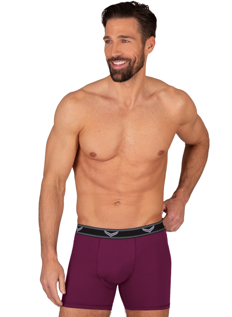 Boxer »TRIGEMA Bequeme Pants mit Webgummibund«, (1 St.)