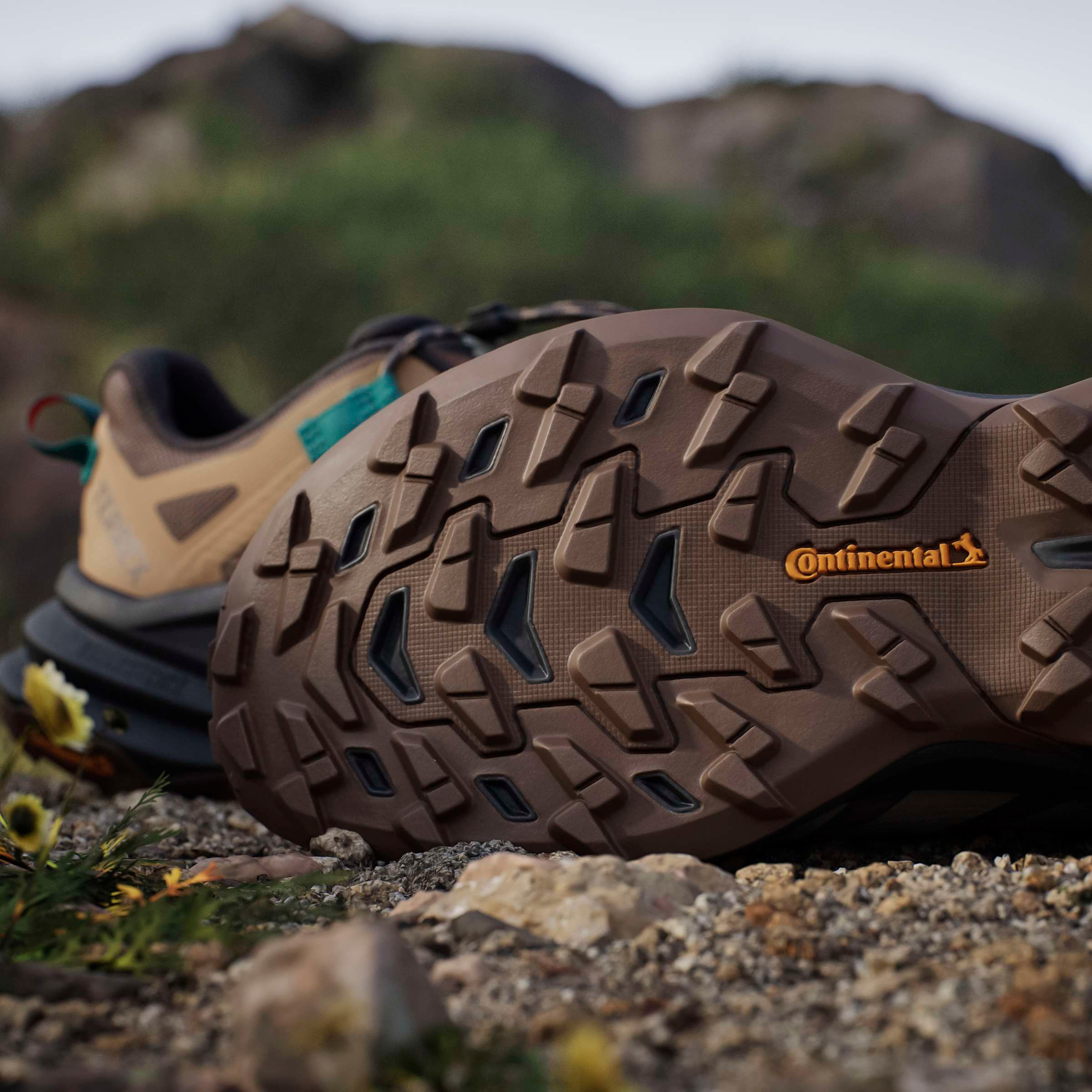 adidas TERREX Chaussure de randonnée »FREEHIKER SL GORE-TEX«  imperméable grâce à la membrane Gore-Tex