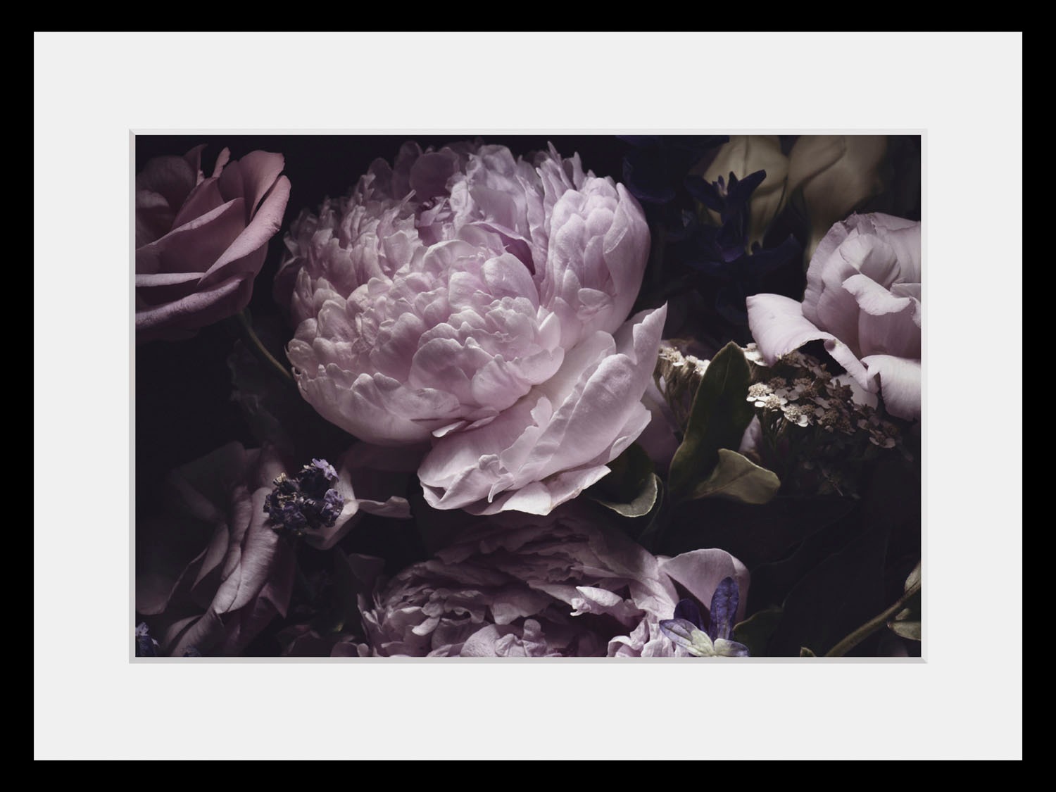 Image of queence Bild »Lila«, Blumen, (1 St.) bei Ackermann Versand Schweiz