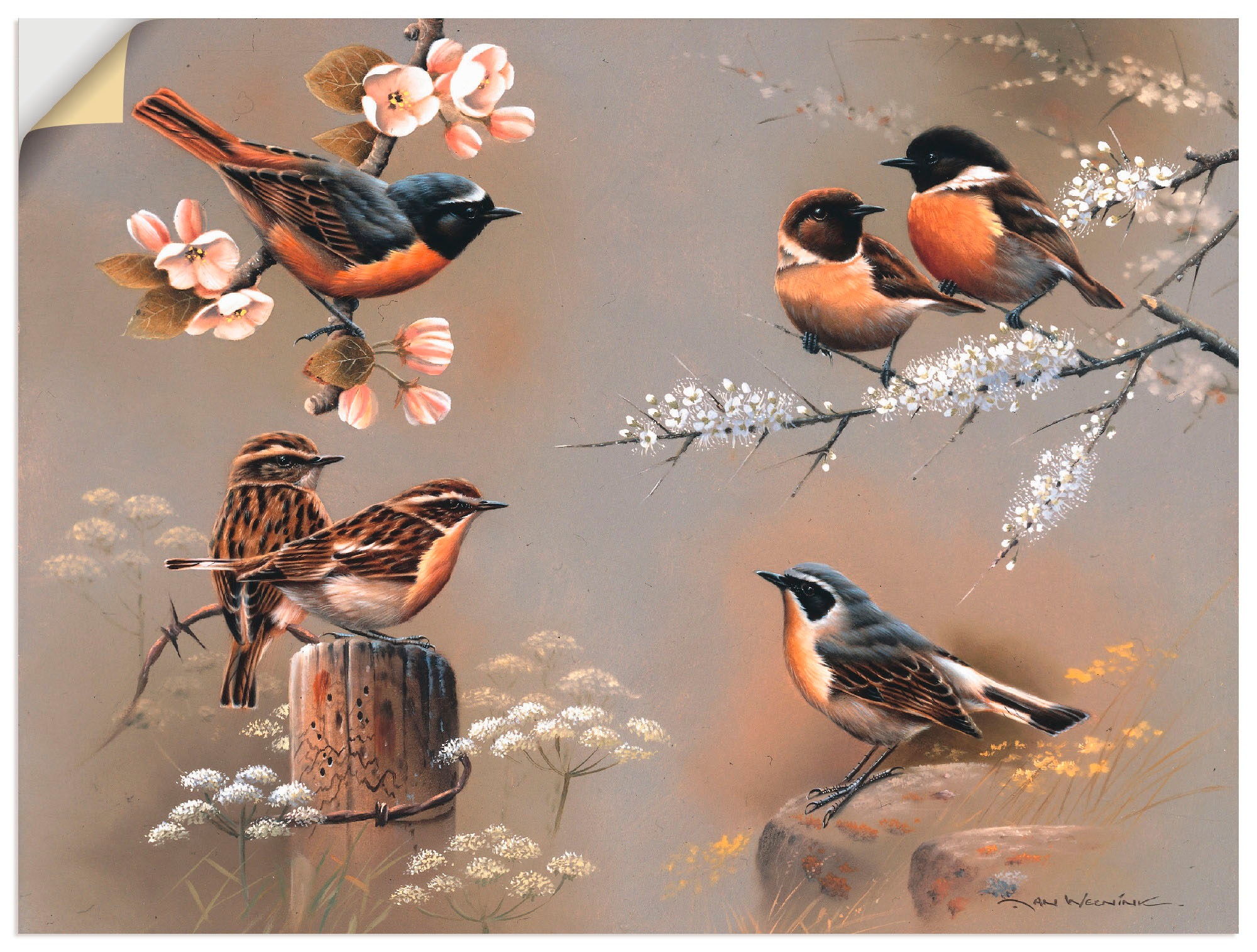 Image of Artland Wandbild »Vogel Komposition«, Vögel, (1 St.), in vielen Grössen & Produktarten -Leinwandbild, Poster, Wandaufkleber / Wandtattoo auch für Badezimmer geeignet bei Ackermann Versand Schweiz