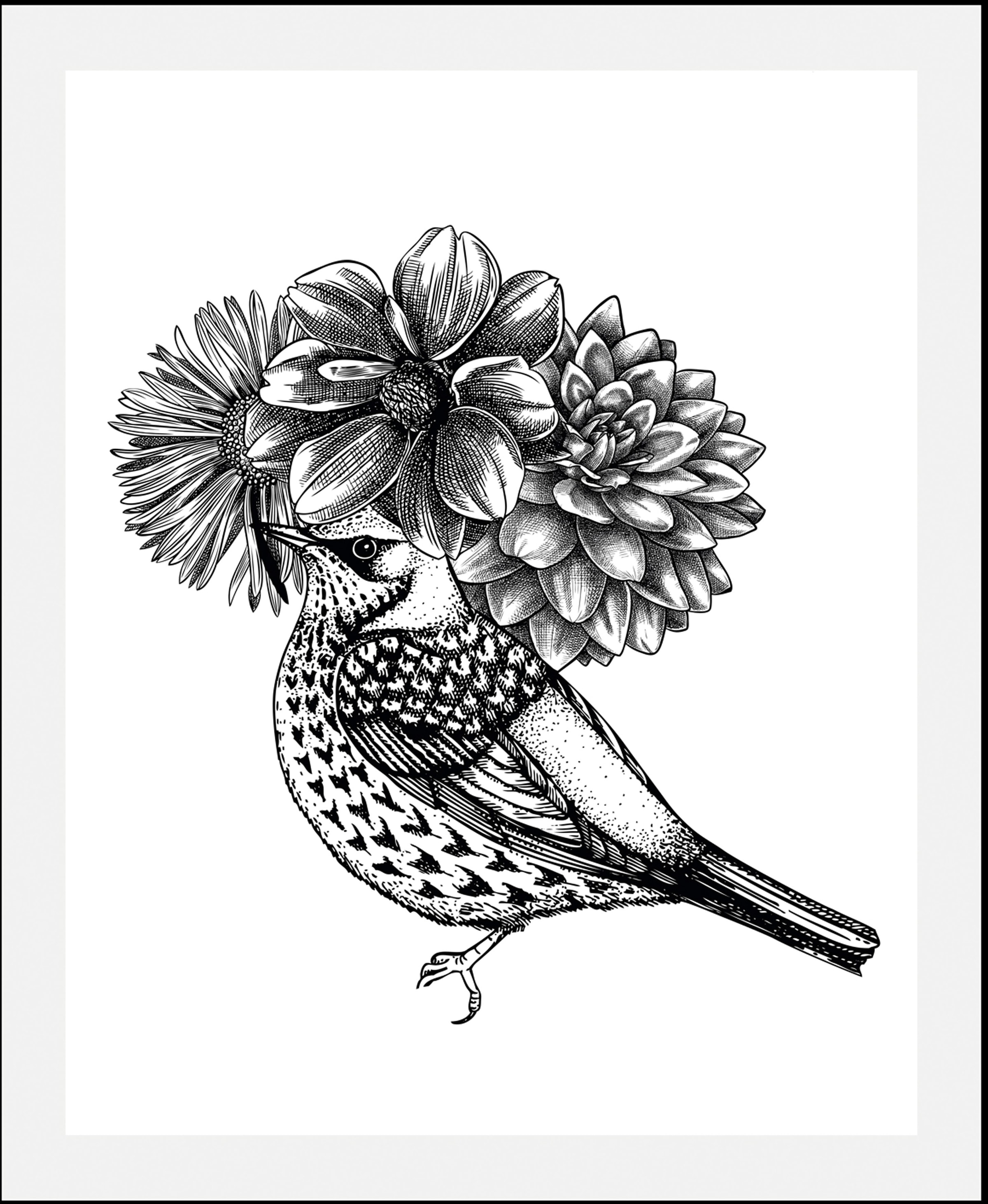 Image of queence Bild "Floria" Abstrakt Blumen Schwarz-Weiss Vogelbilder Vögel 1 Stk. tlg. gerahmt