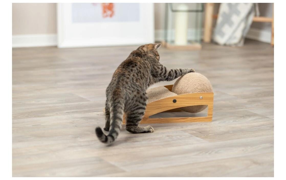 TRIXIE Kratzbrett »Rampe mit Ball«