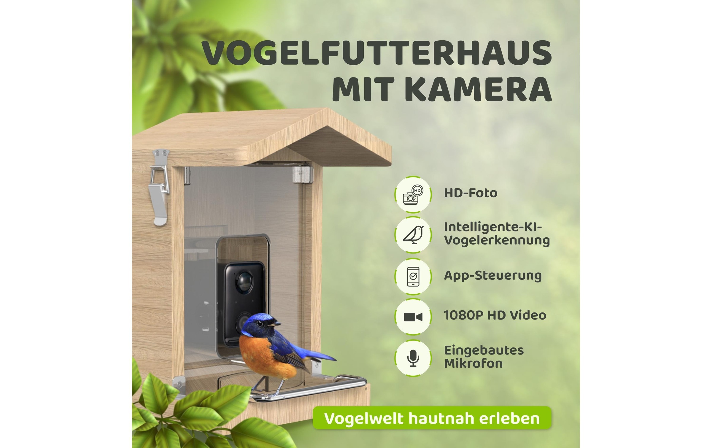   Vogelhaus »Sanilu mit Kamera mit Solarpanel«