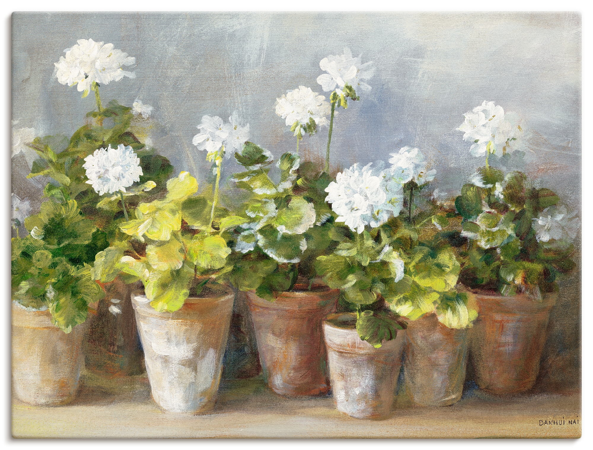 Image of Artland Wandbild "Weisse Geranien" Blumen 1 Stk. tlg. als Leinwandbild, Poster in verschied. Grössen