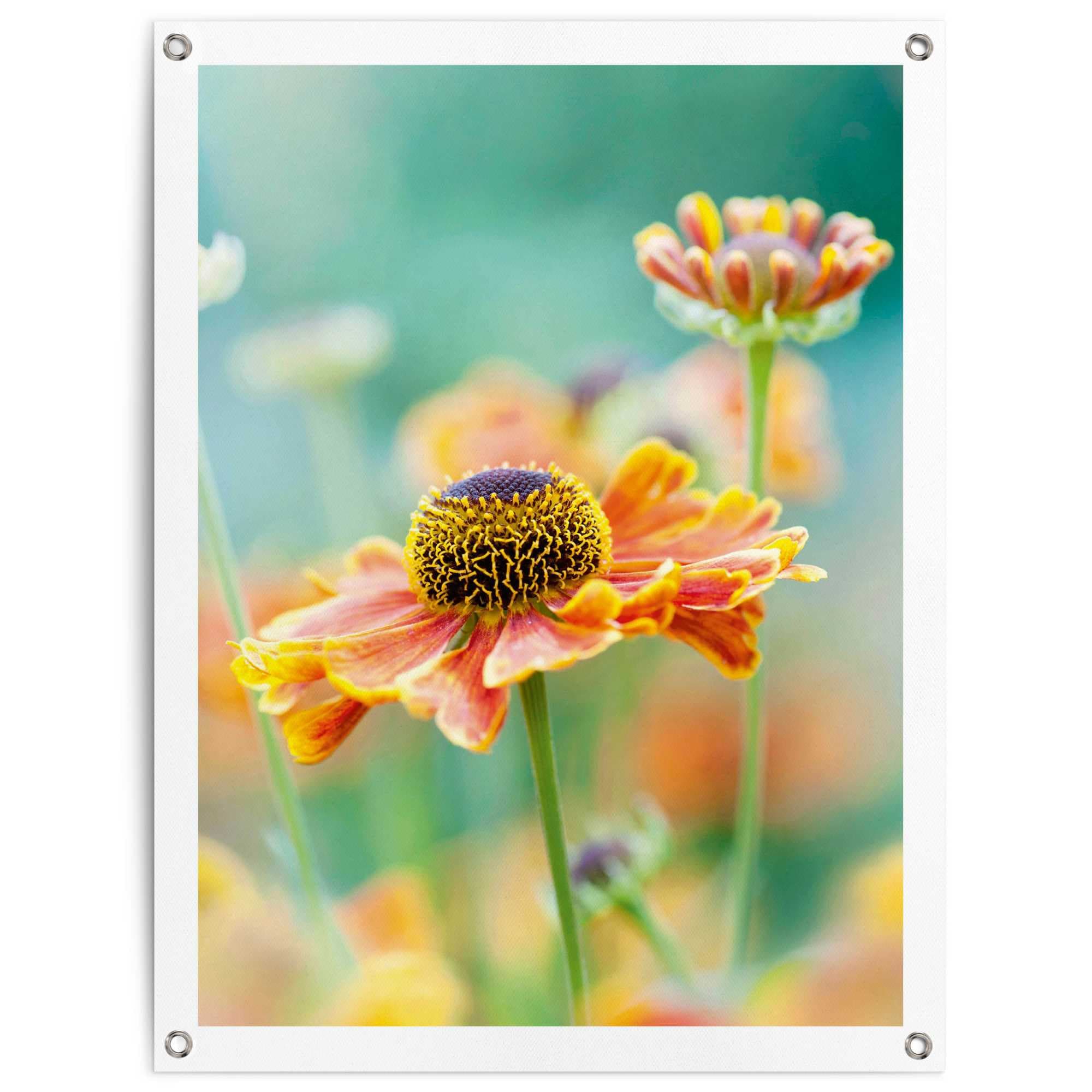 Image of Reinders Poster "Blume" Outdoor für Garten oder Balkon