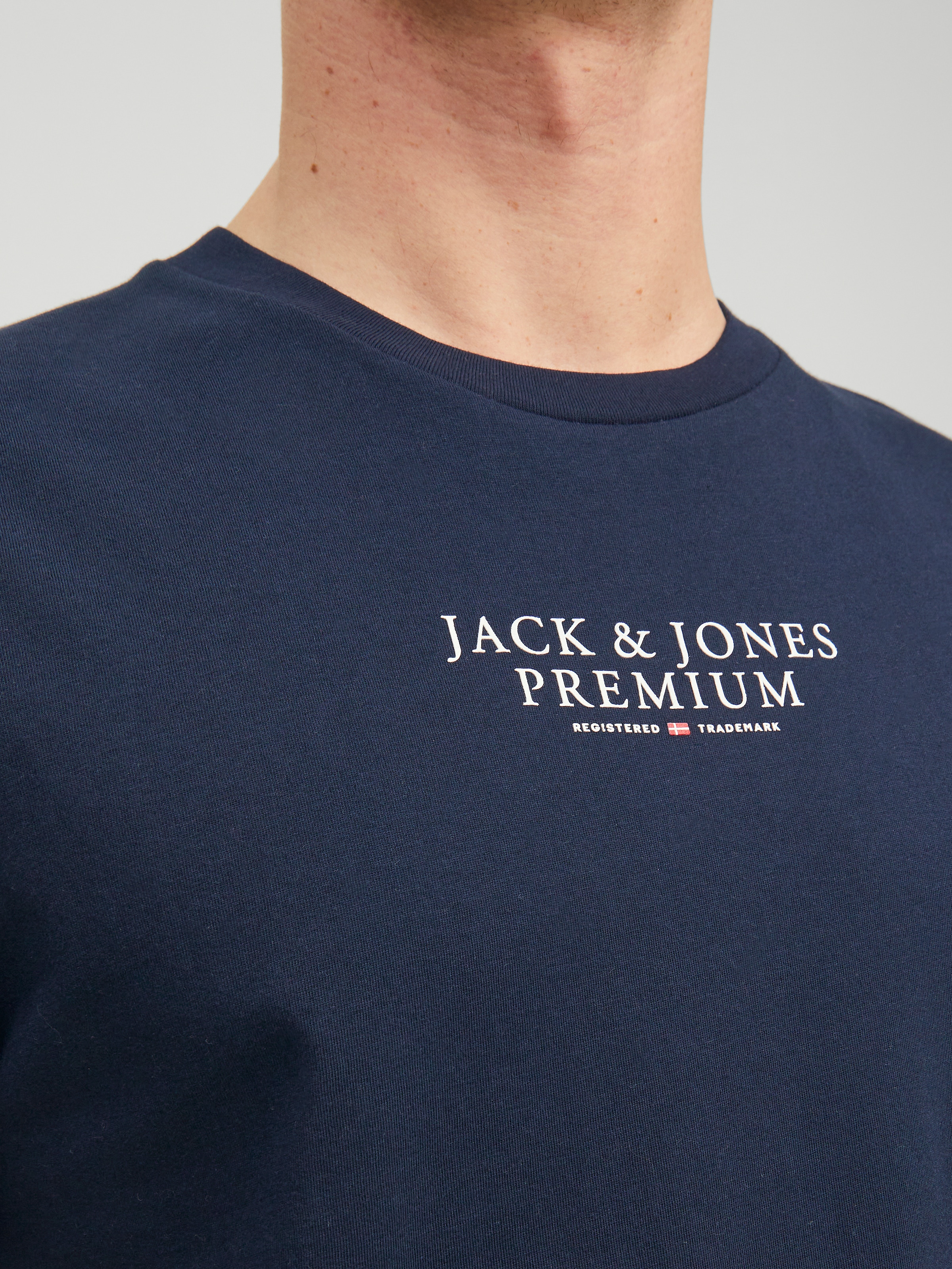 Jack & Jones T-Shirt »BLUARCHIE TEE« mit Logo Print