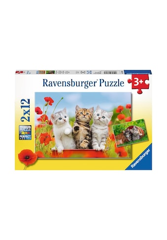 Ravensburger Puzzle »Katzen auf Entdeckungsreise« kaufen