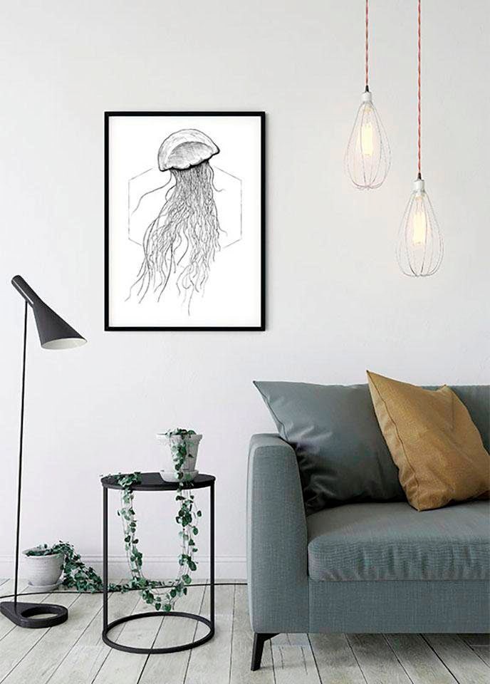 Komar Image »Jellyfish White« Animaux 1 cuis tlg. Wandbild zur Dekoration - ohne Rahmen