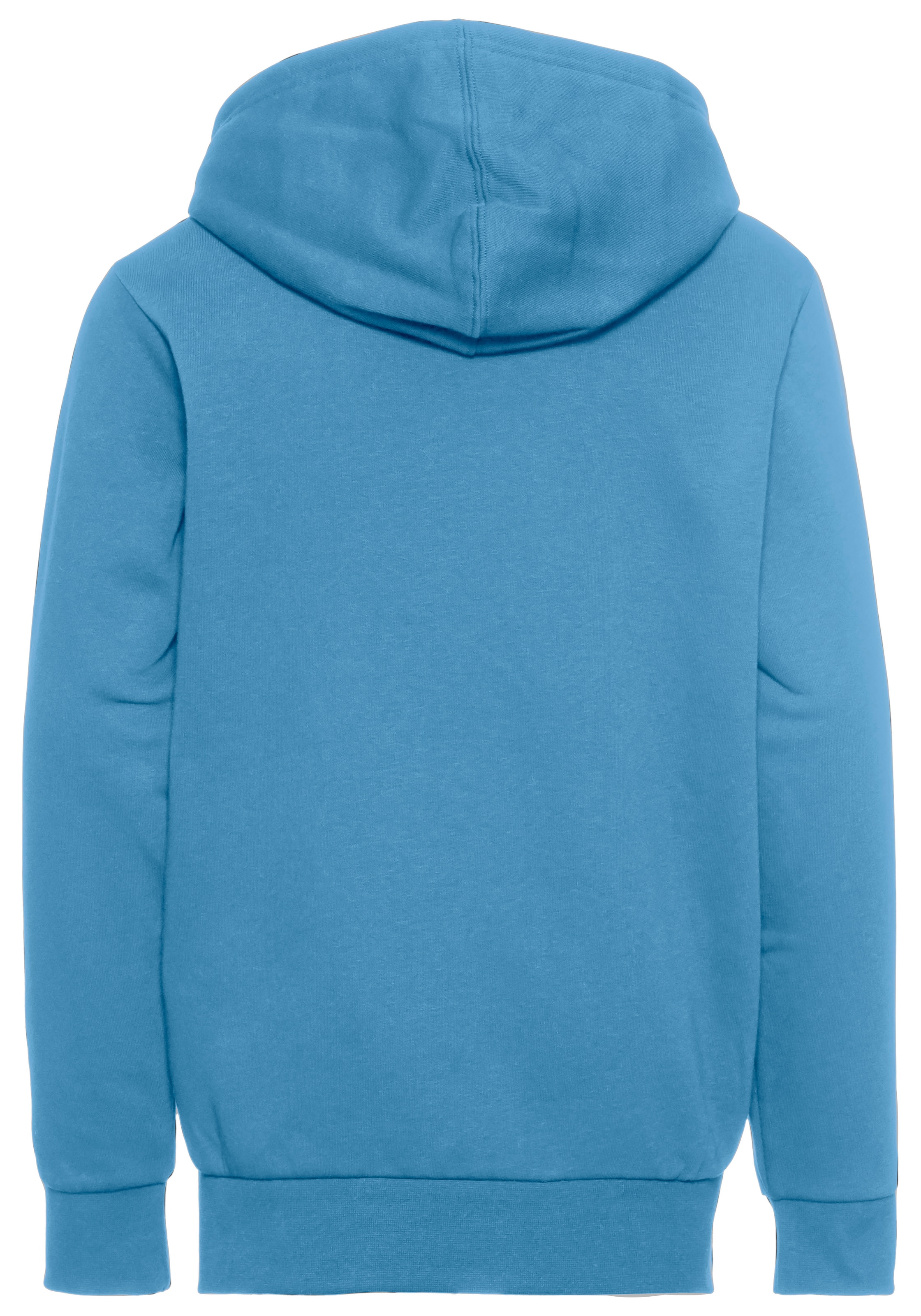 Champion Kapuzensweatshirt »Hooded Sweatshirt«