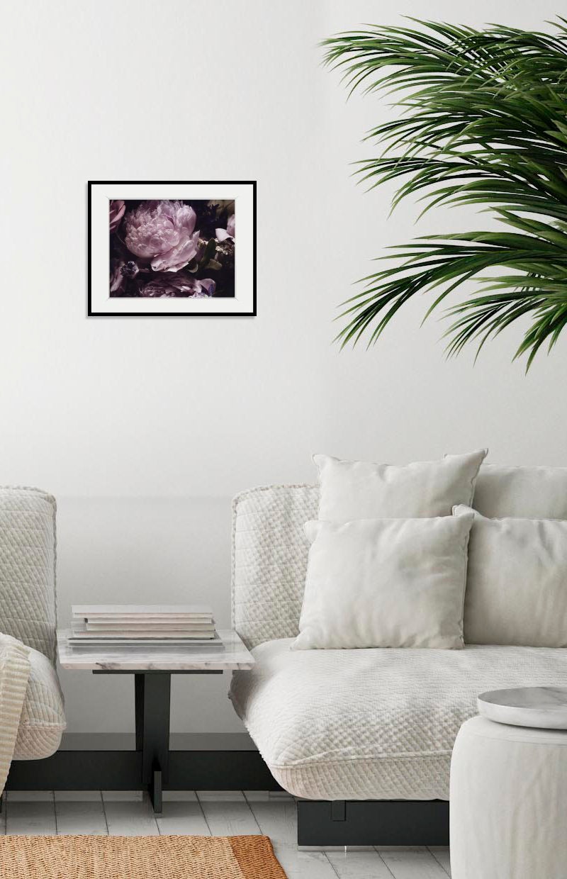 Image of queence Bild "Shakira" Blumen Foto Pflanzen Pflanzenbilder 1 Stk. tlg. HD Premium Poster-Druck inkl. Holzrahmen