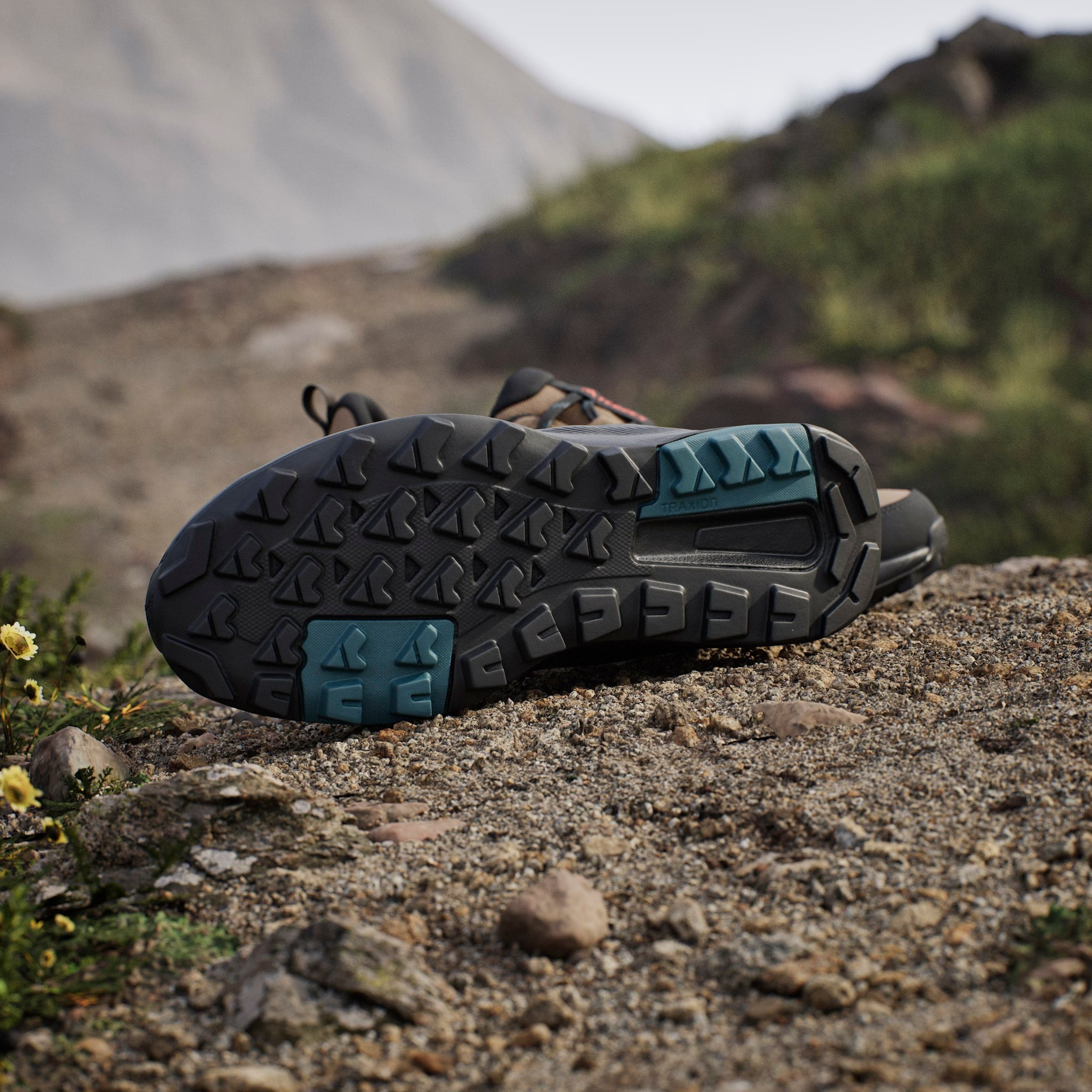 adidas TERREX Wanderschuh »TERREX ANYLANDER RAIN.RDY«, wasserdicht