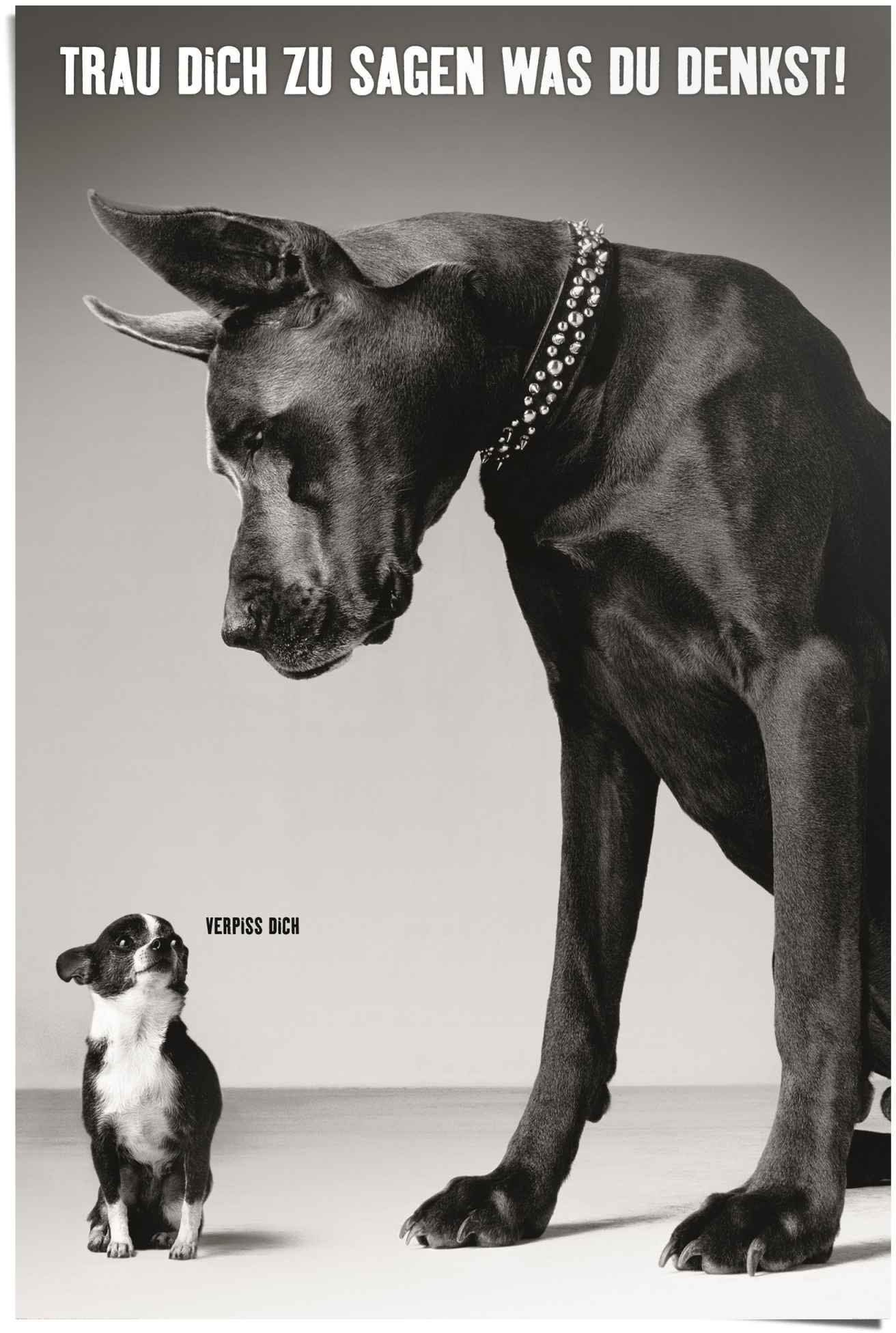 Image of Reinders! Poster »Verpipss dich«, (1 St.) bei Ackermann Versand Schweiz