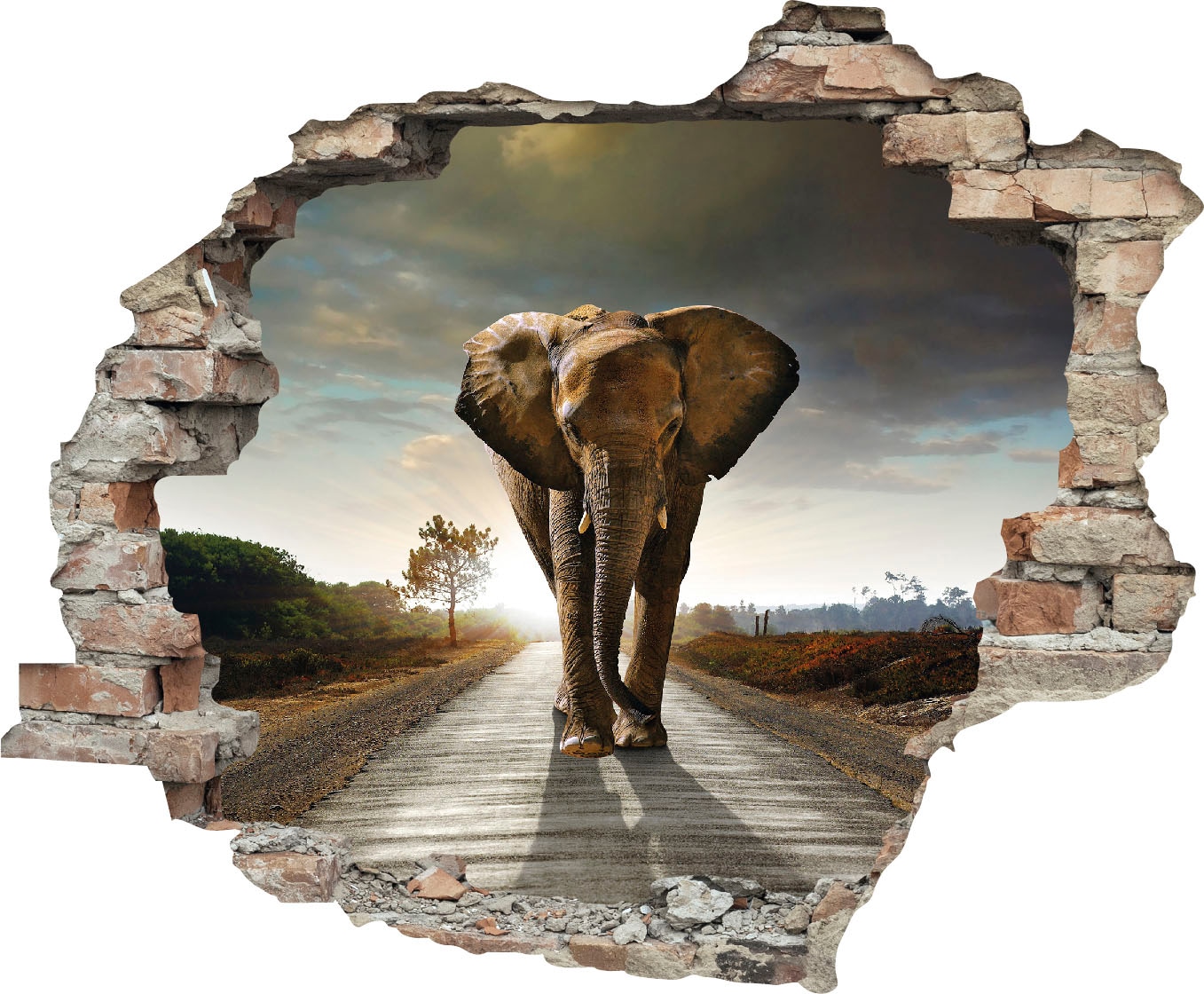 Image of queence Wandtattoo "Elefant" Wandsticker, Wandbild, selbstklebend, 3D, Wanddurchbruch