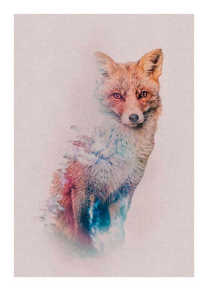 Image of Komar Bild "Animals Forest Fox" Tiere 1 Stk. tlg. Wandbild zur Dekoration - ohne Rahmen