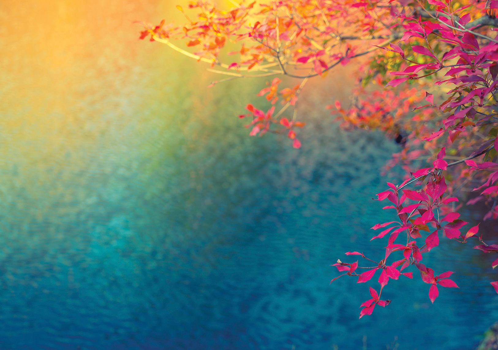 Image of Consalnet Vliestapete »BLÄTTER«, grafisch, in verschiedenen Grössen bei Ackermann Versand Schweiz