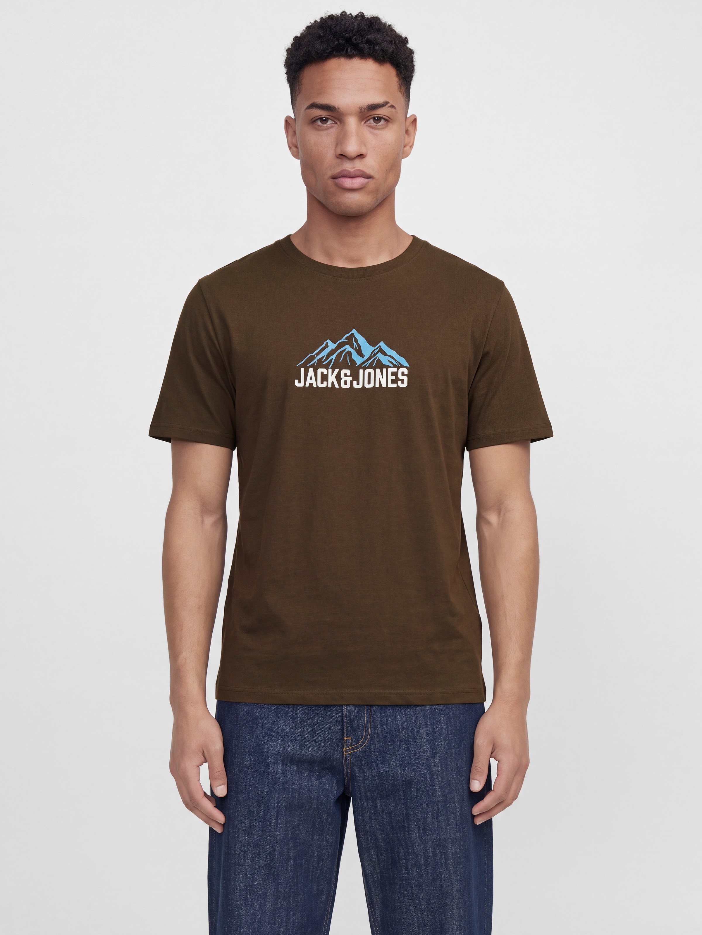 Image of Jack & Jones T-Shirt "JJROCHE TEE SS CREW NECK" Baumwolle, regular fit