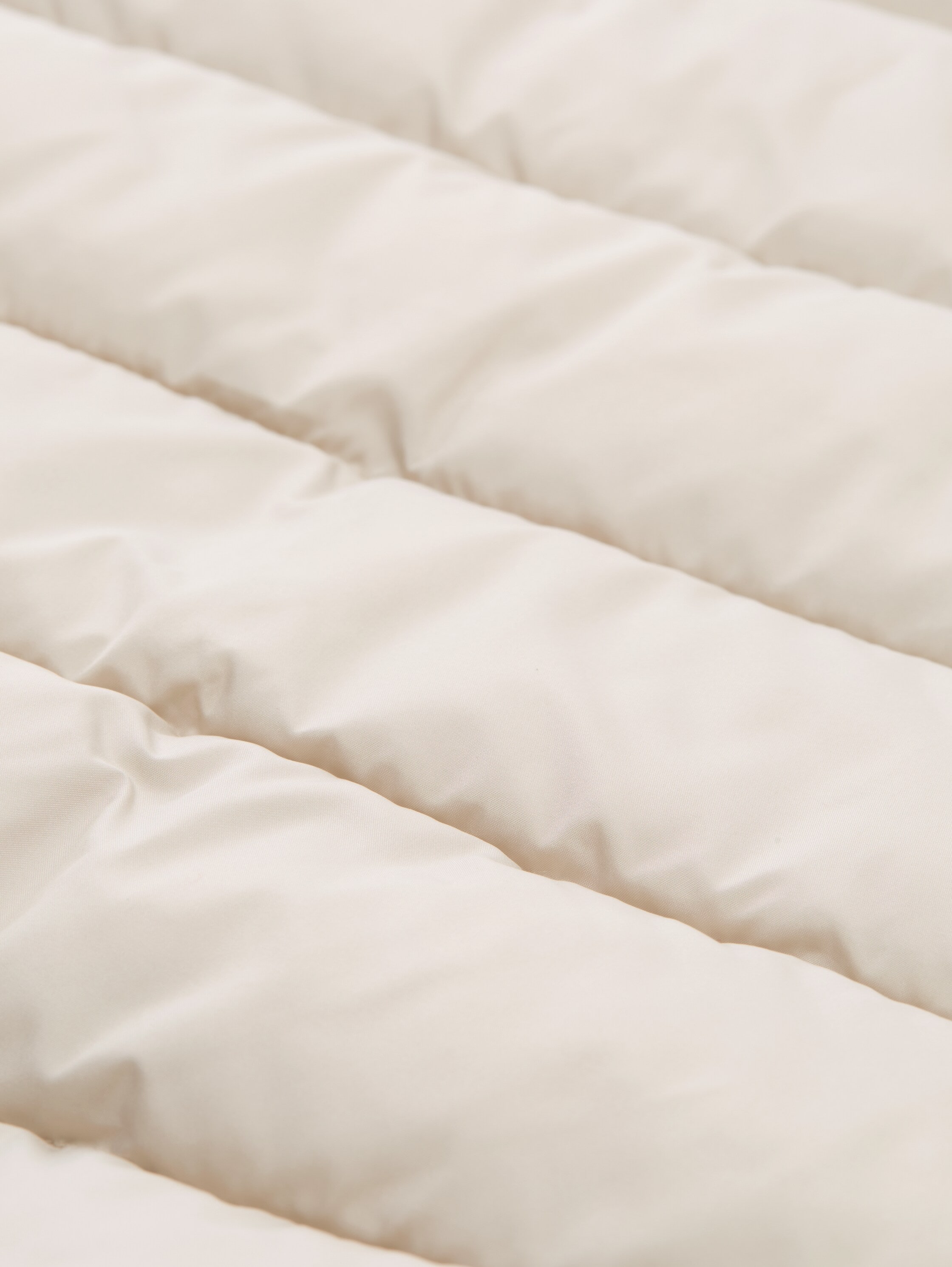 TOM TAILOR Veste matelassée mit elastischem Bund